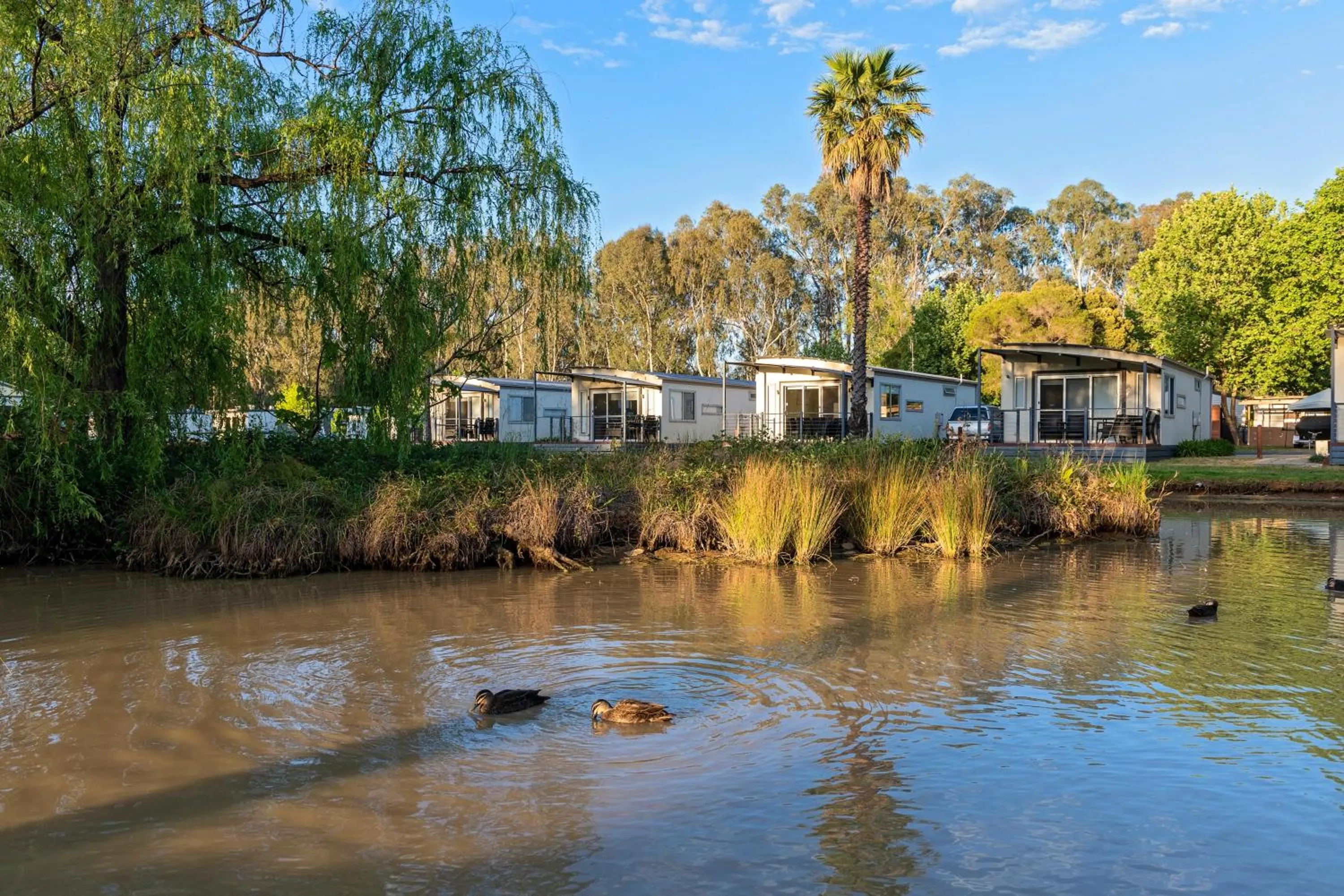 River view in Discovery Parks - Maidens Inn Moama