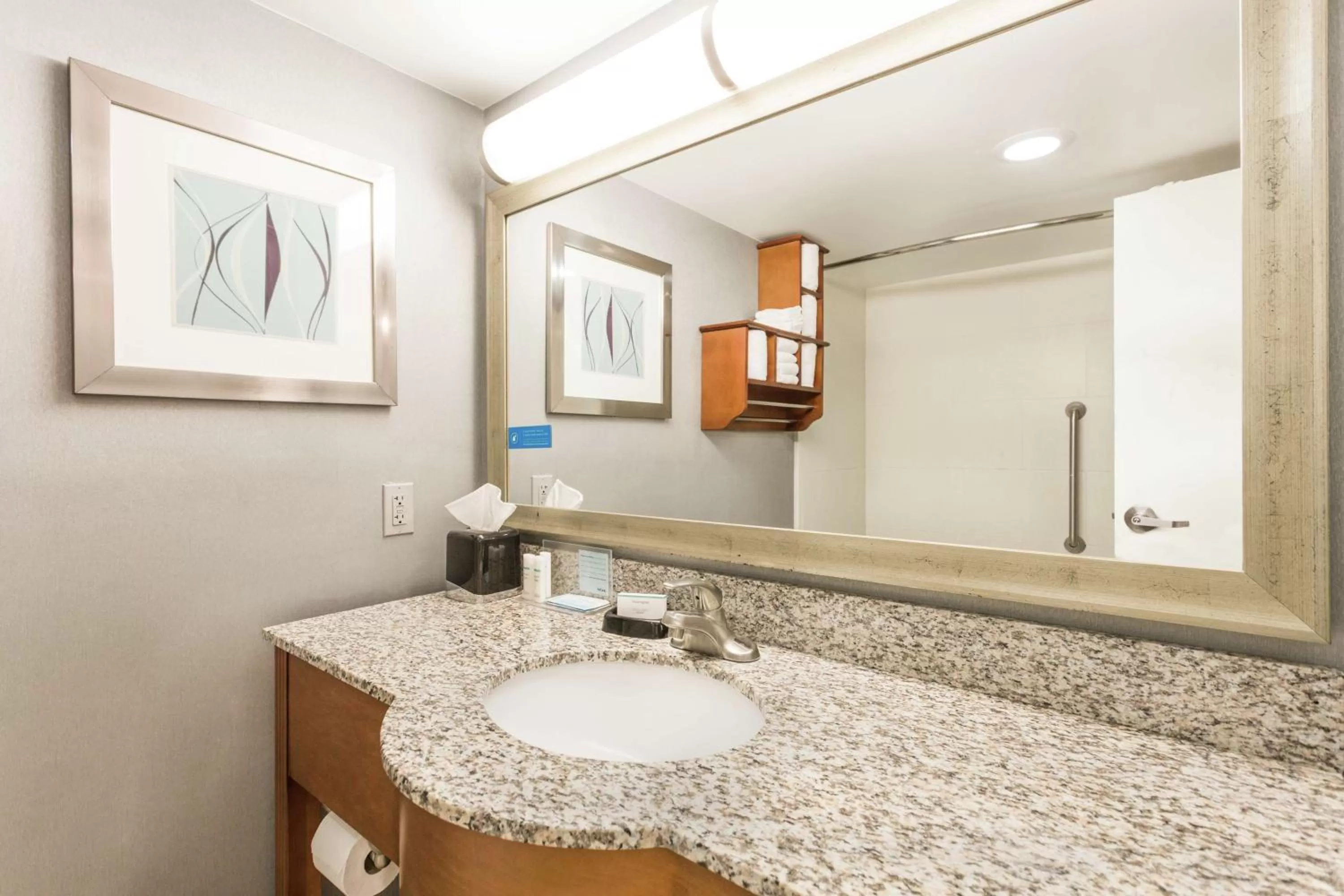 Bathroom in Hampton Inn Morehead City