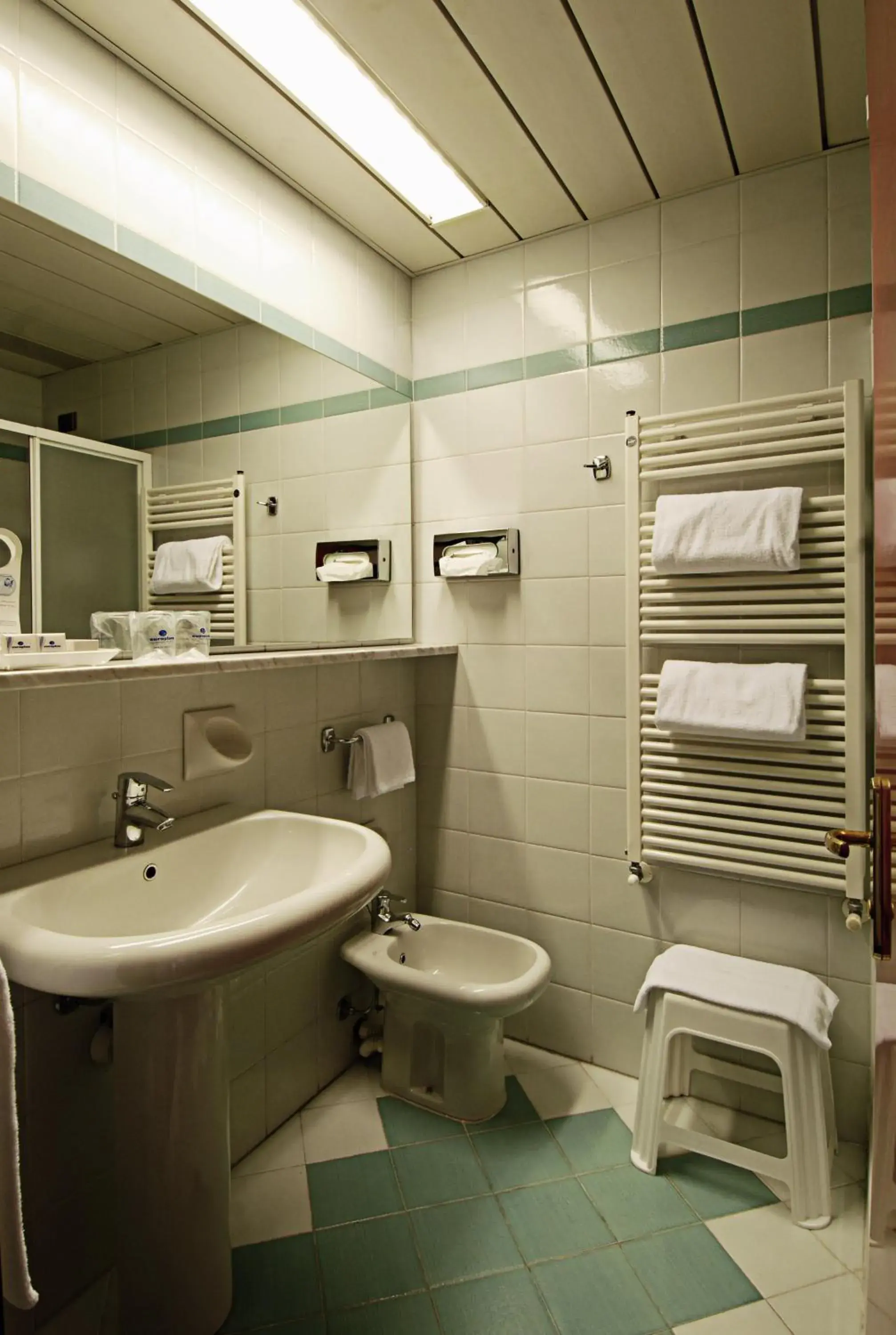 Shower, Bathroom in Hotel Nettuno