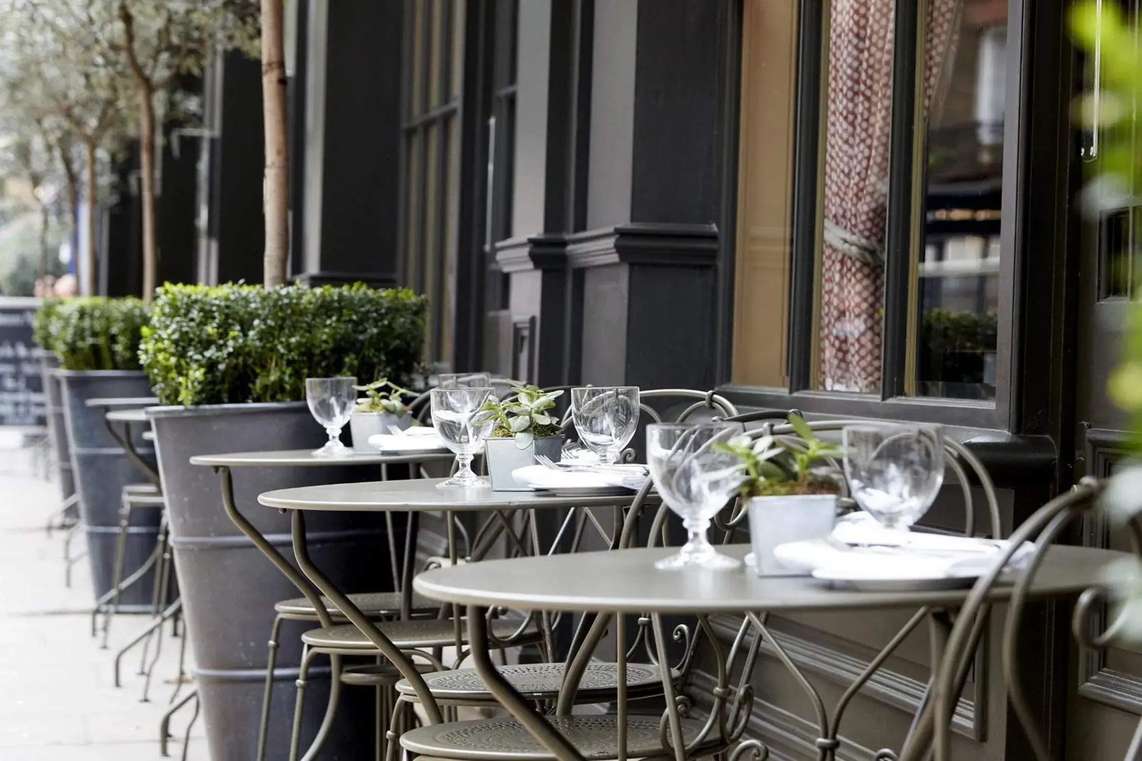 Patio, Restaurant/Places to Eat in Covent Garden Hotel, Firmdale Hotels