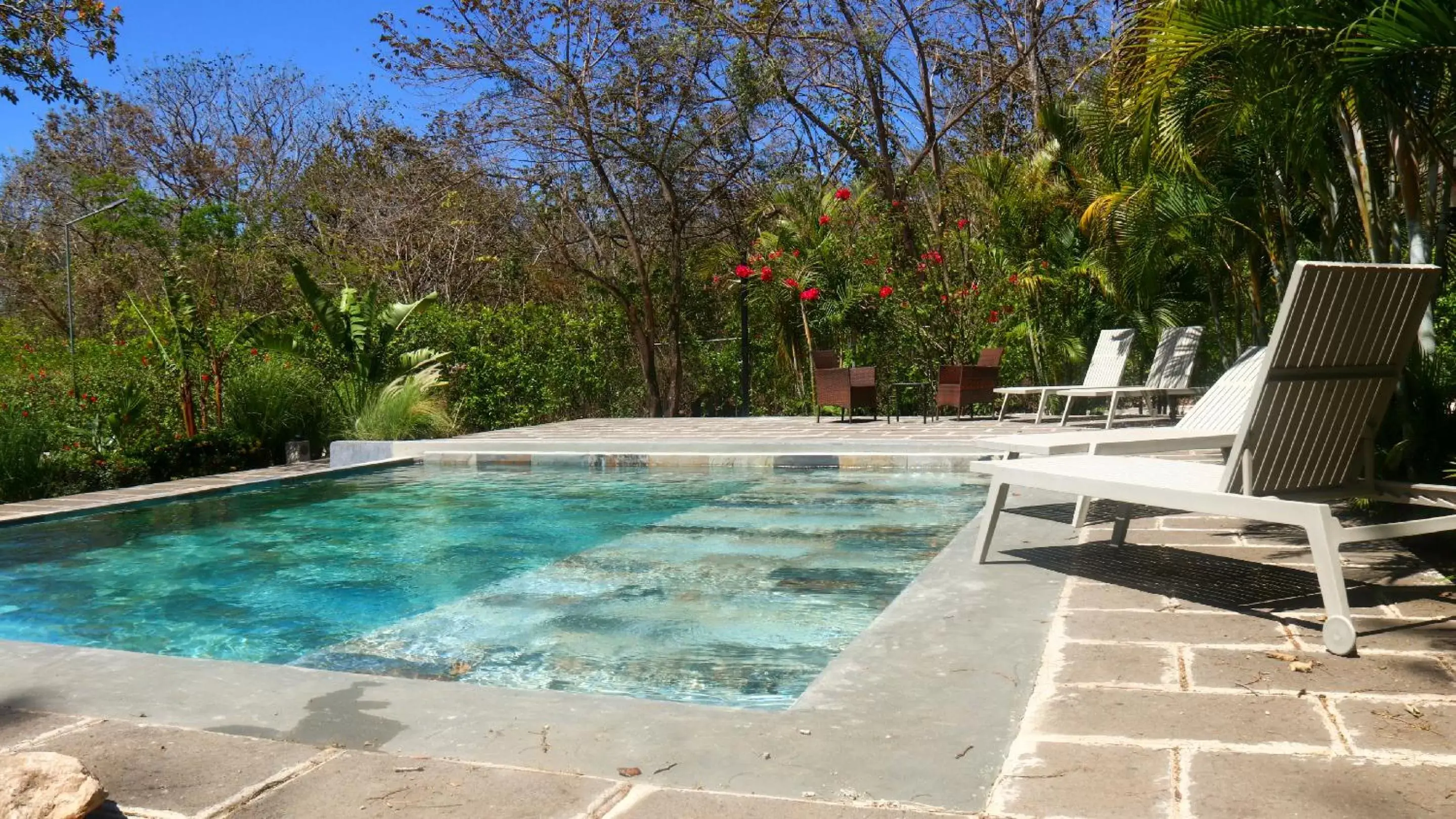 Pool view, Swimming Pool in Tee-K Lodge Tamarindo