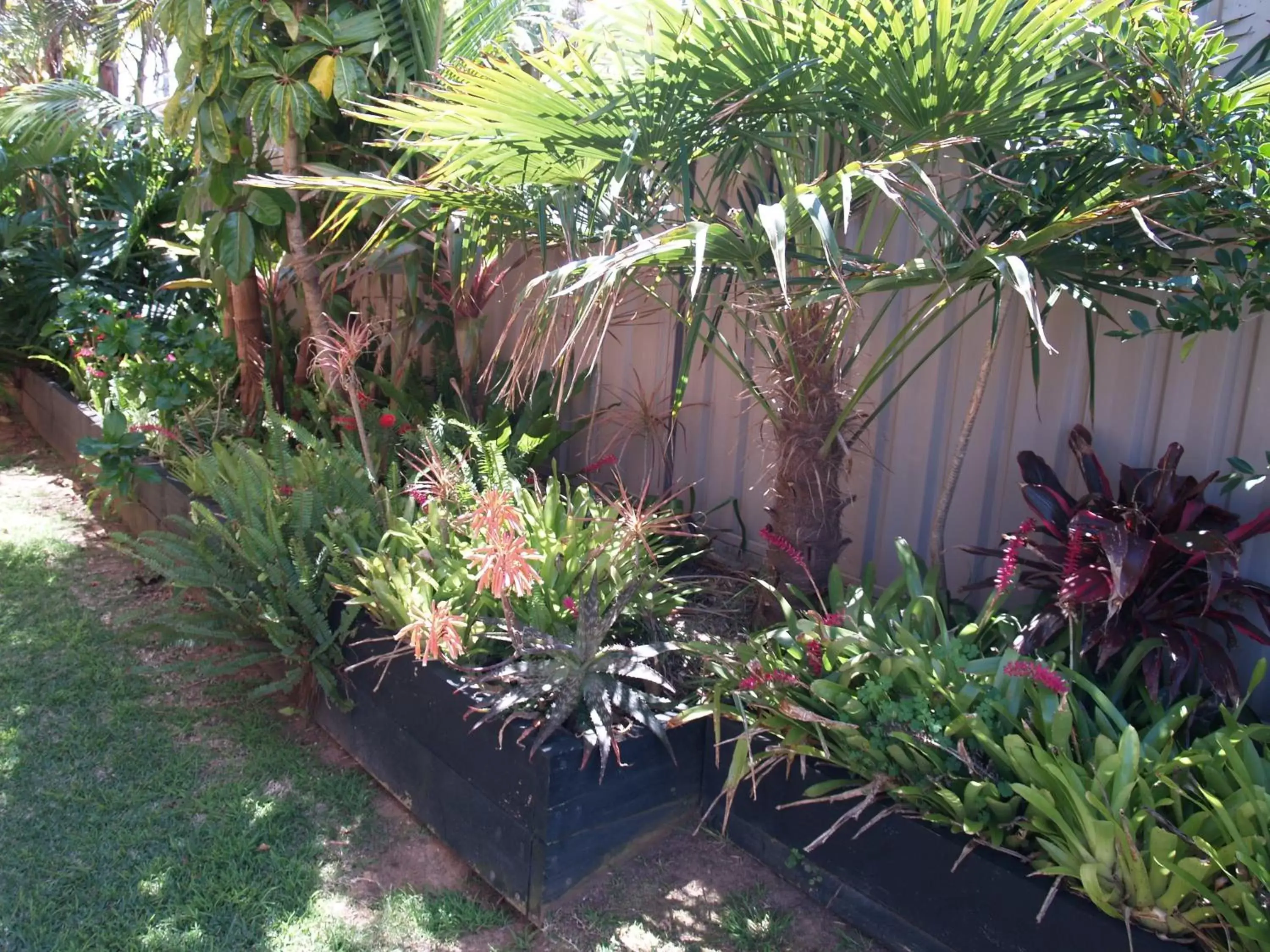 Area and facilities, Garden in Pigeon House Motor Inn