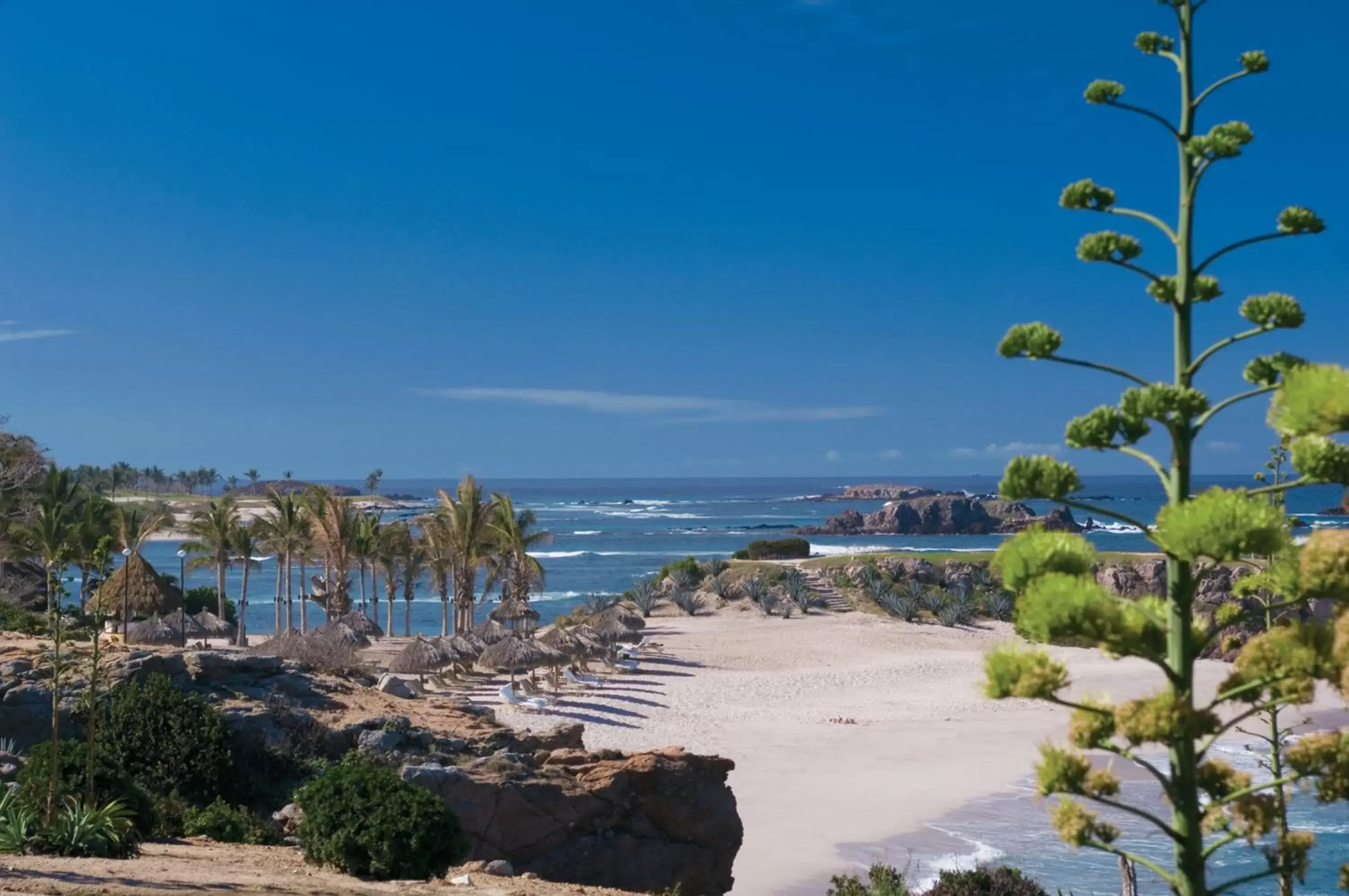 Beach, Natural Landscape in Four Seasons Resort Punta Mita