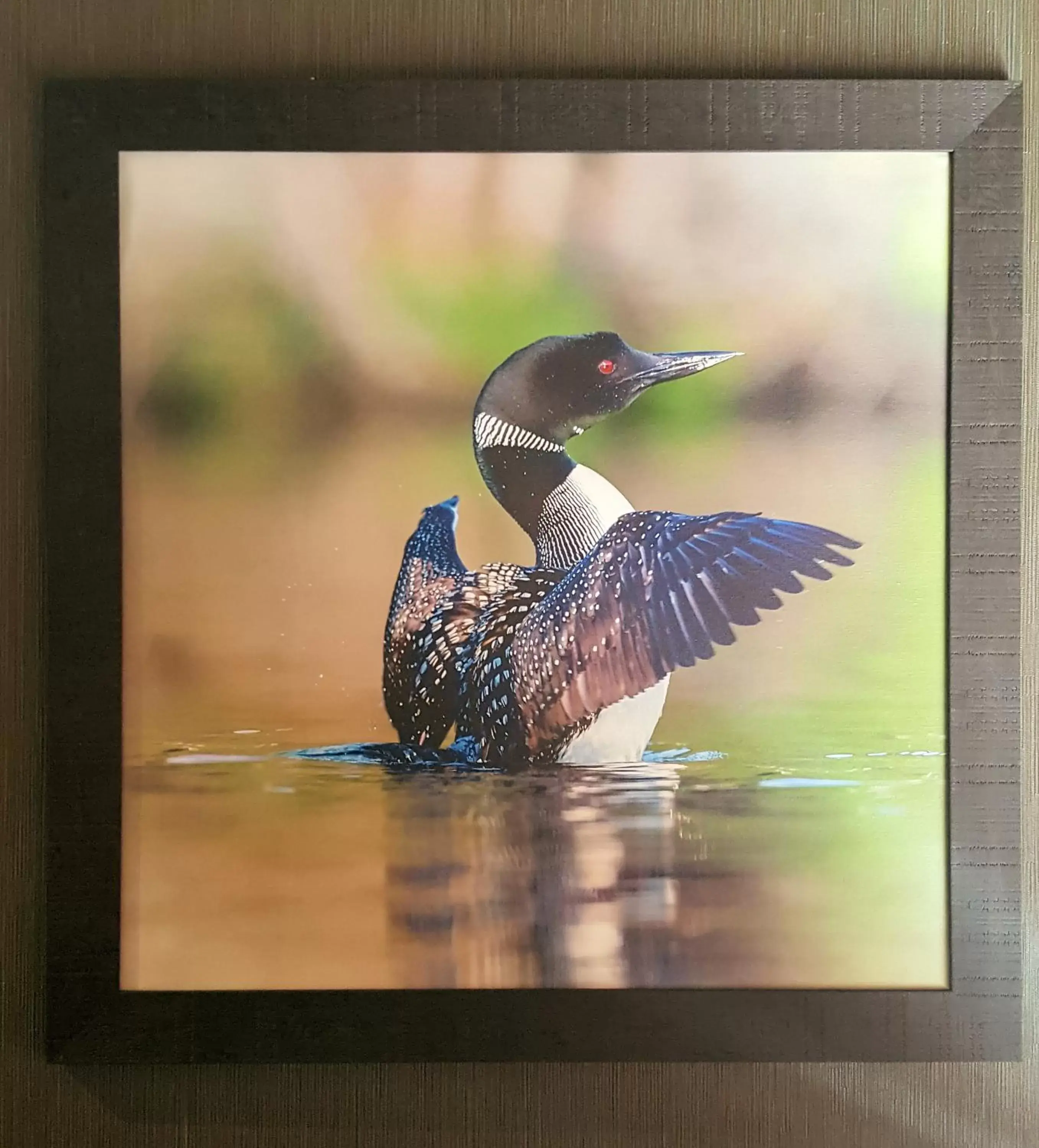 Lobby or reception, Other Animals in C'mon Inn Lobby or reception, Other Animals in C'mon Inn