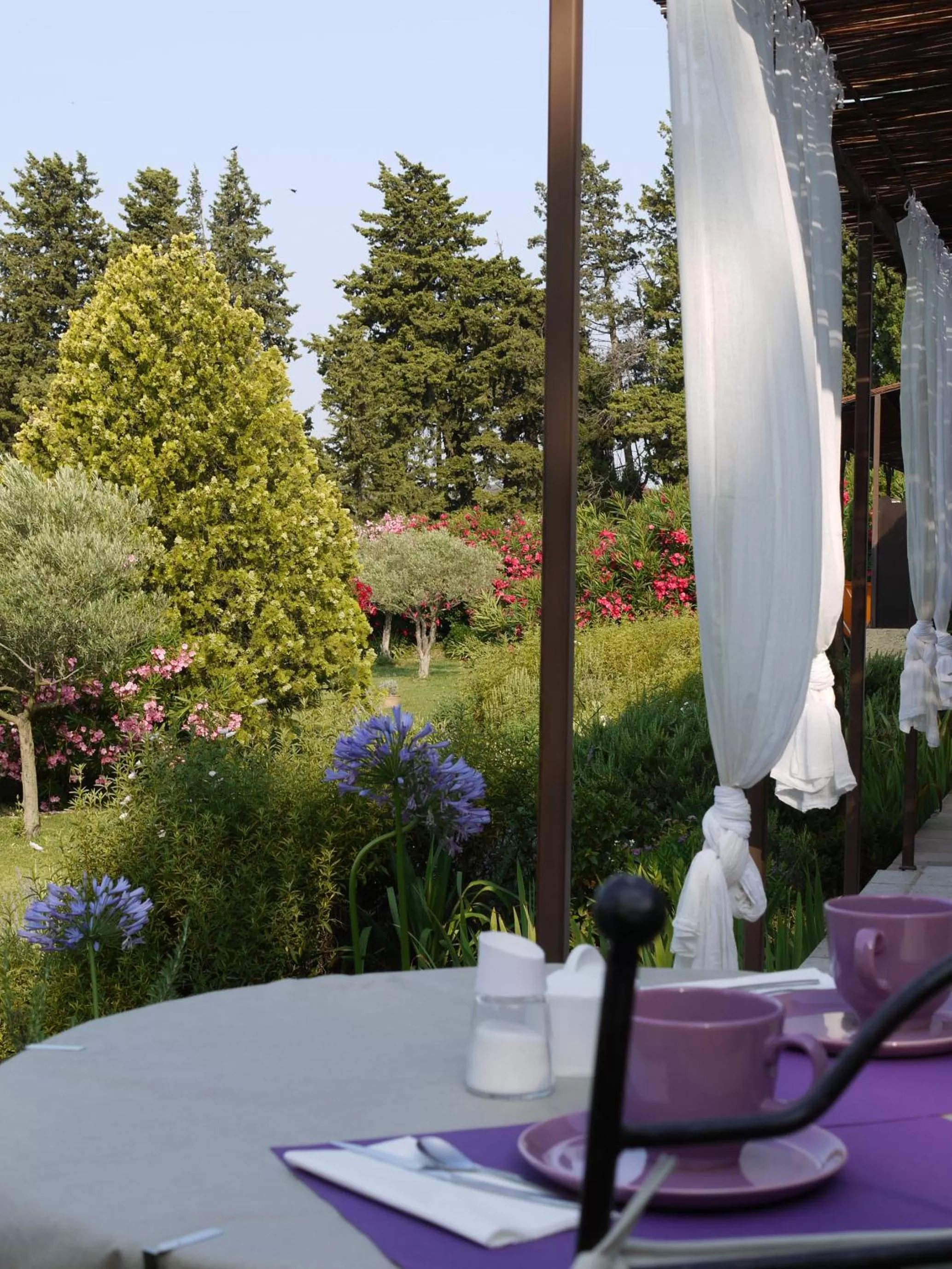 Day, Restaurant/Places to Eat in Mas des Marguerites