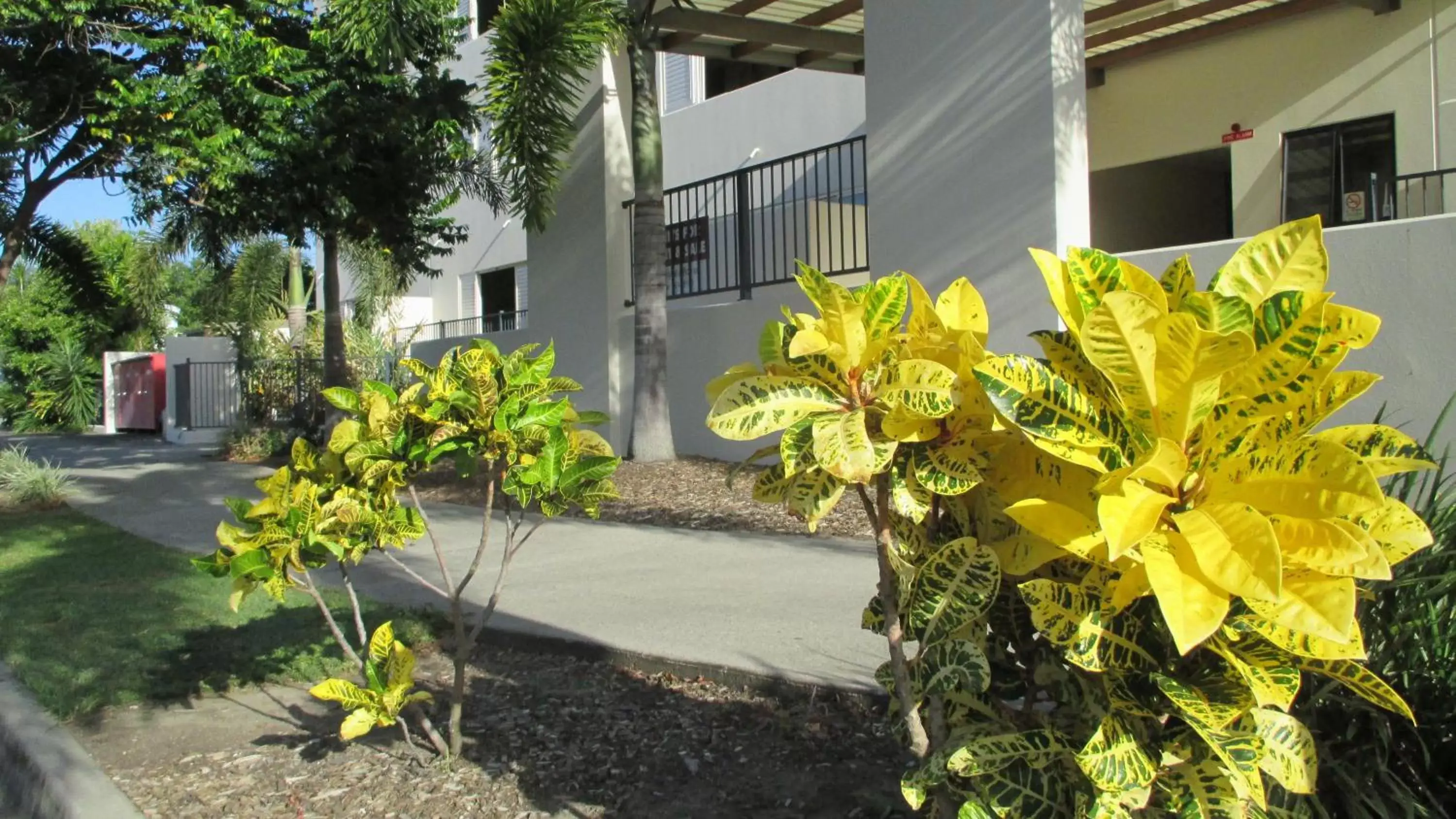 Facade/entrance, Property Building in Edge Apartments Cairns