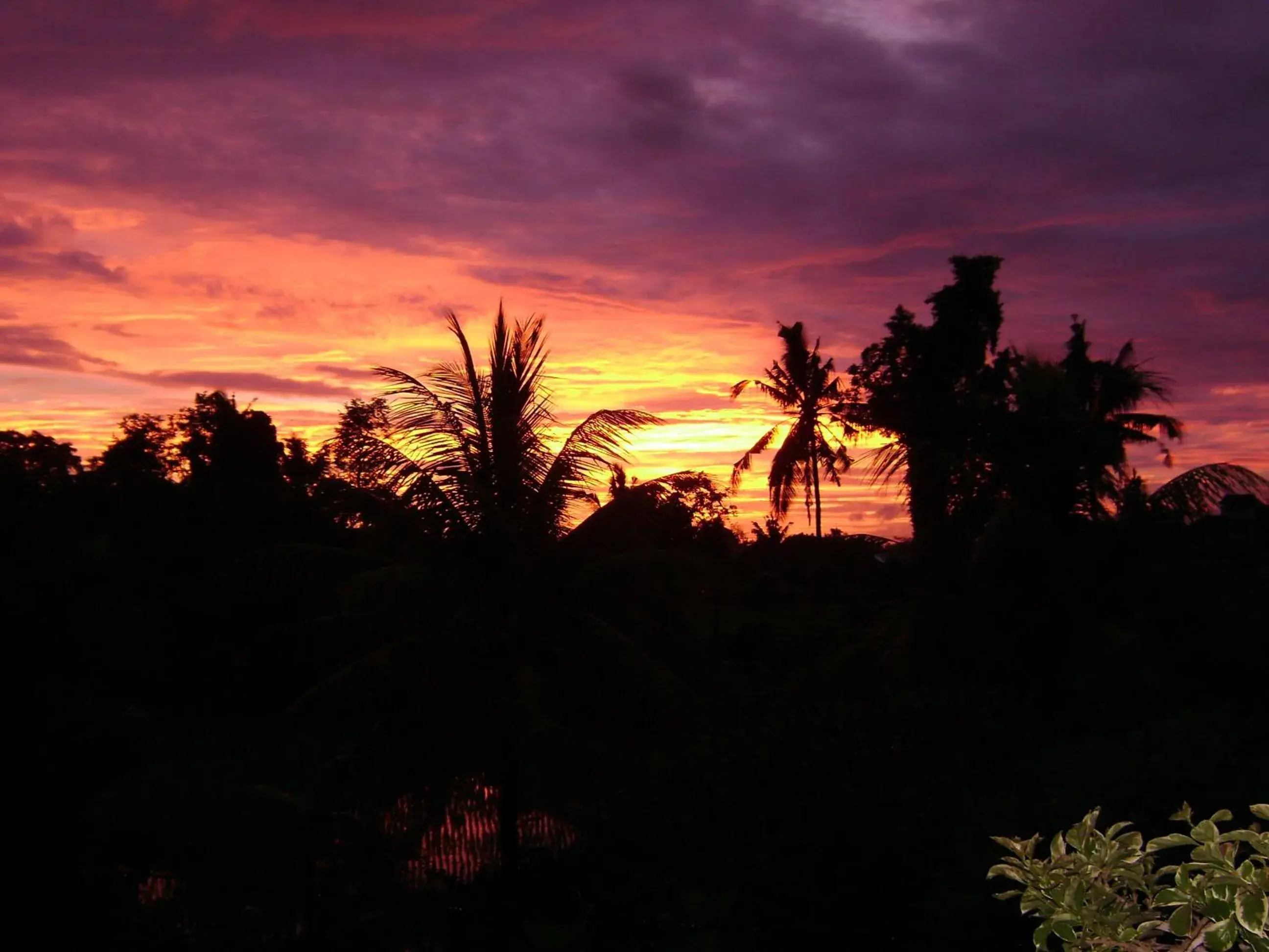Garden view in Kun - Kun Guest House Ubud Garden view in Kun - Kun Guest House Ubud