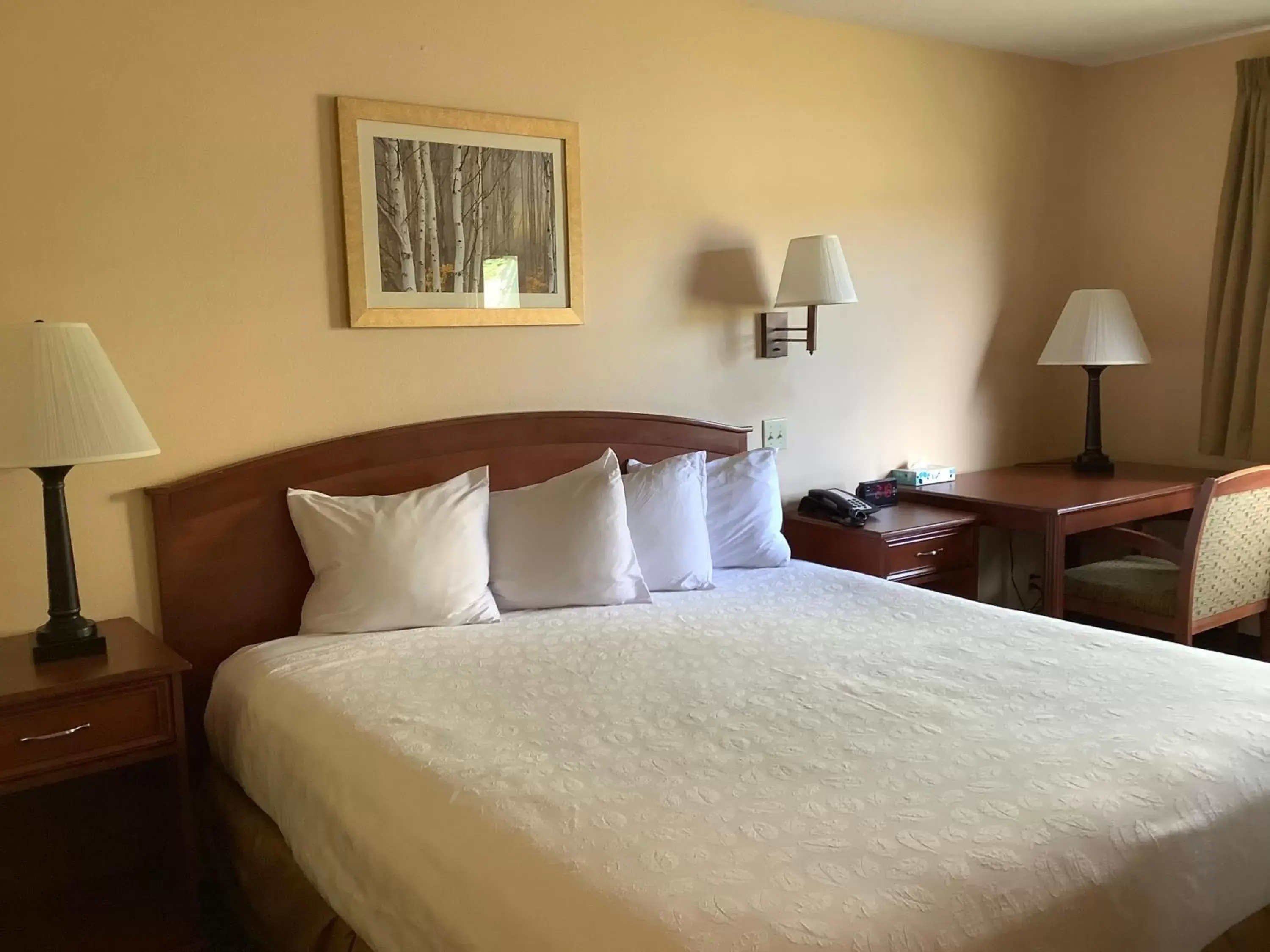 Photo of the whole room, Bed in Luxury Inn & Suites