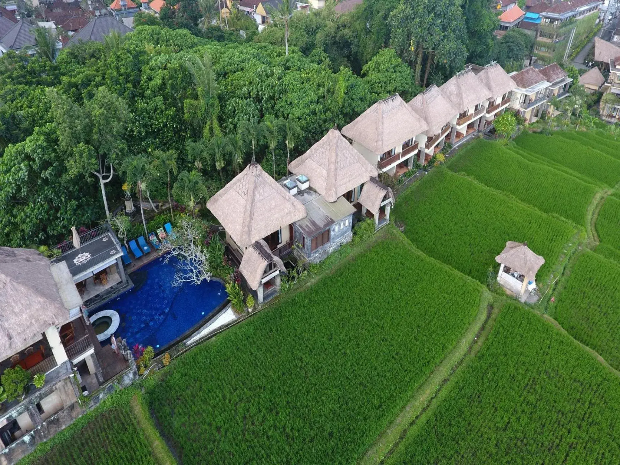 Natural landscape, Bird's-eye View in Biyukukung Suite & Spa