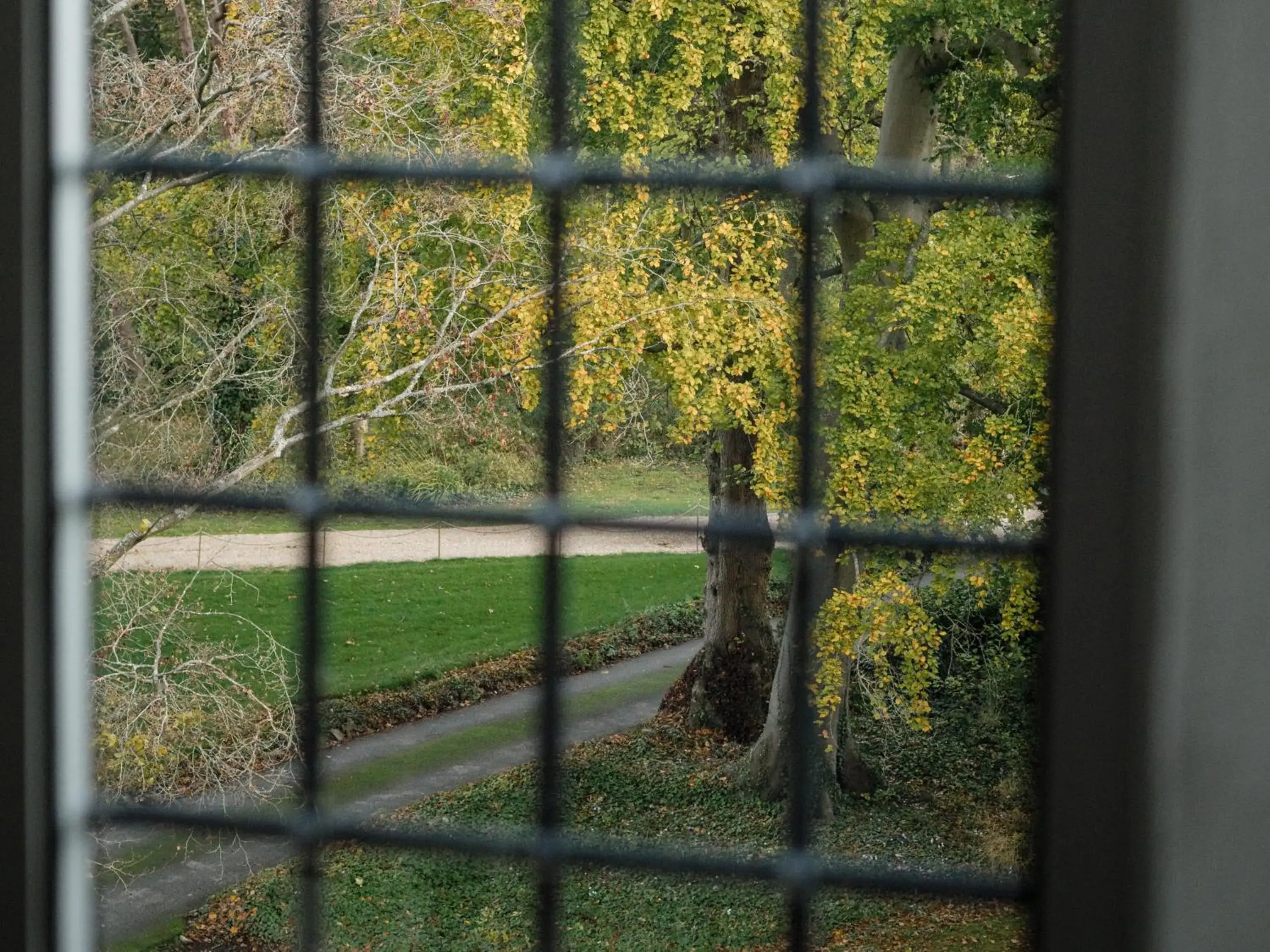 Garden view in Berwick Lodge