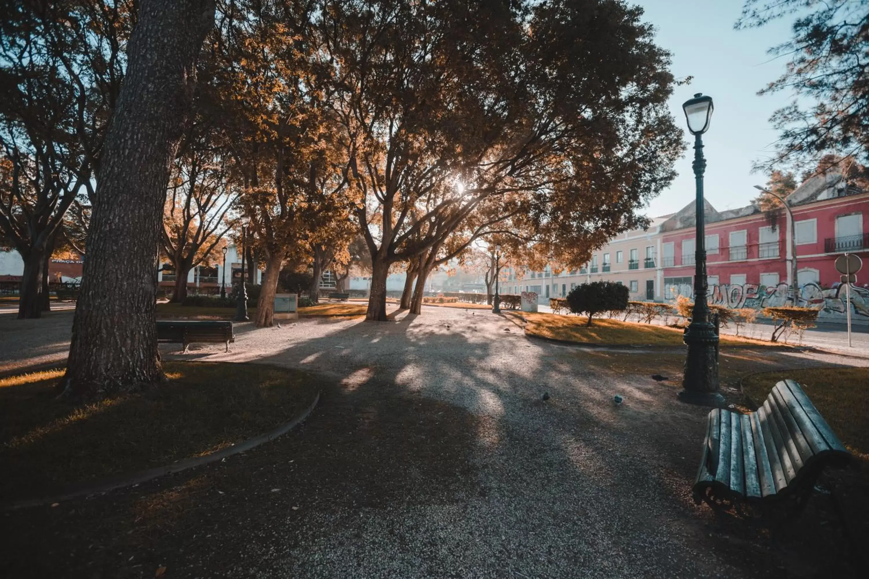 Garden in Hotel Arangues