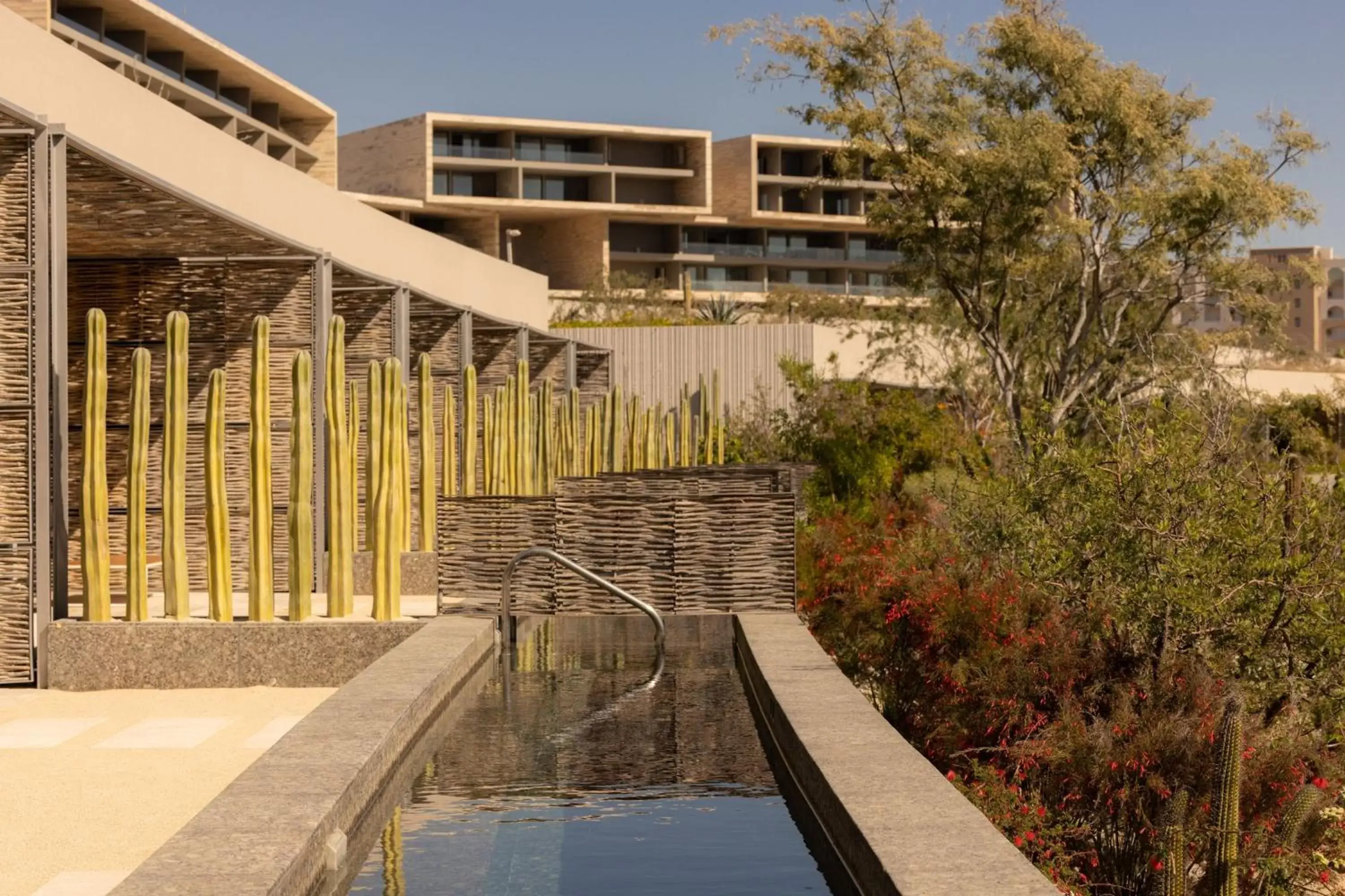 Swimming pool, Property Building in Solaz, a Luxury Collection Resort, Los Cabos