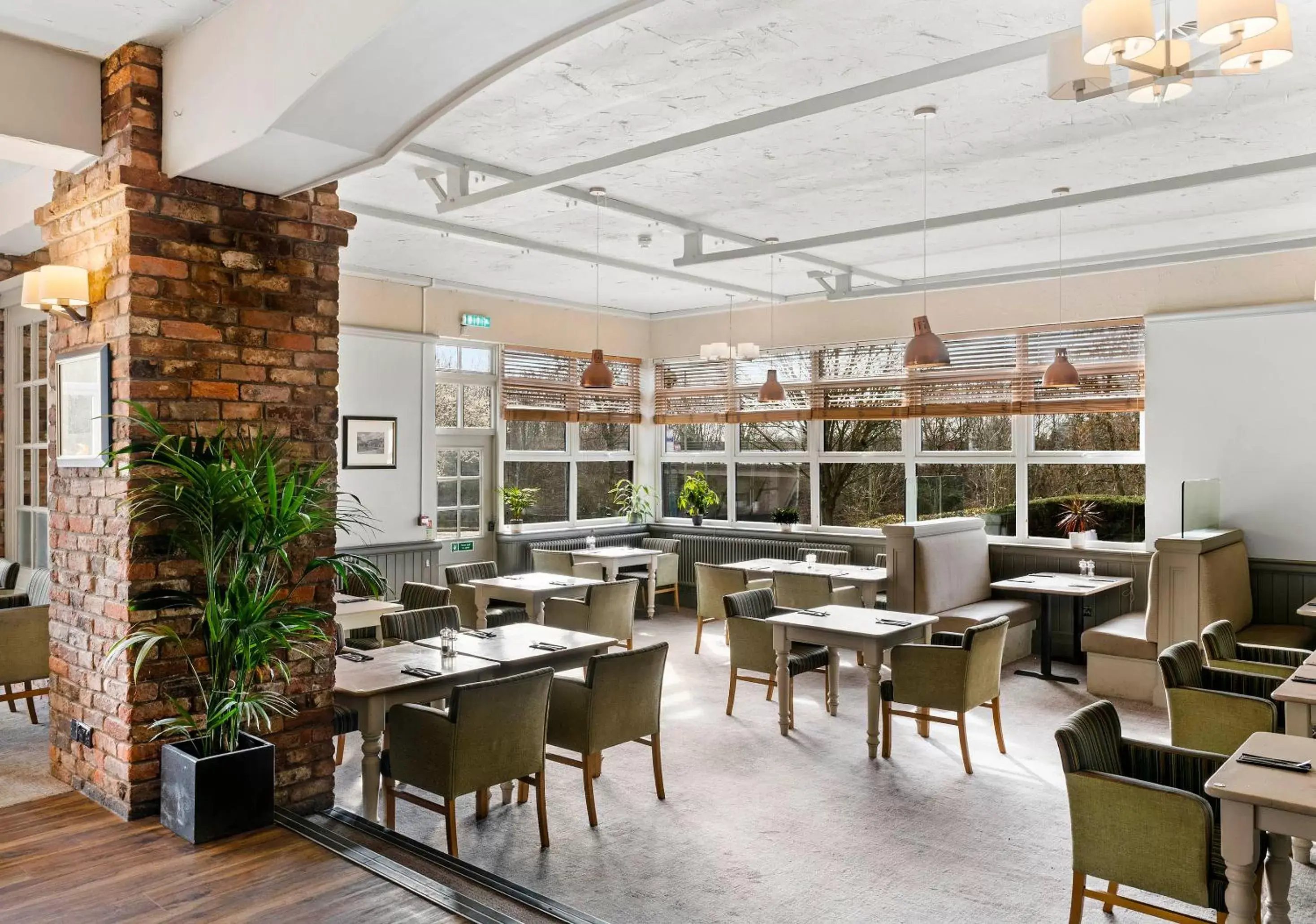 Restaurant/Places to Eat in Dragonfly Hotel Colchester