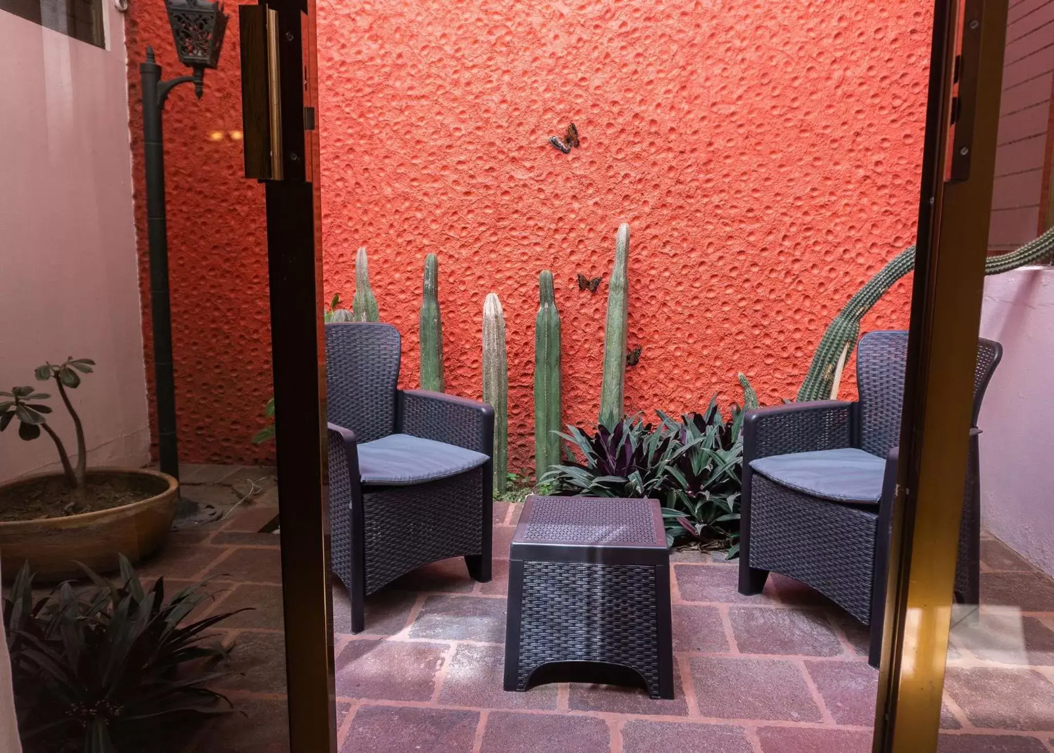 Patio in Hotel Casa Pereyra