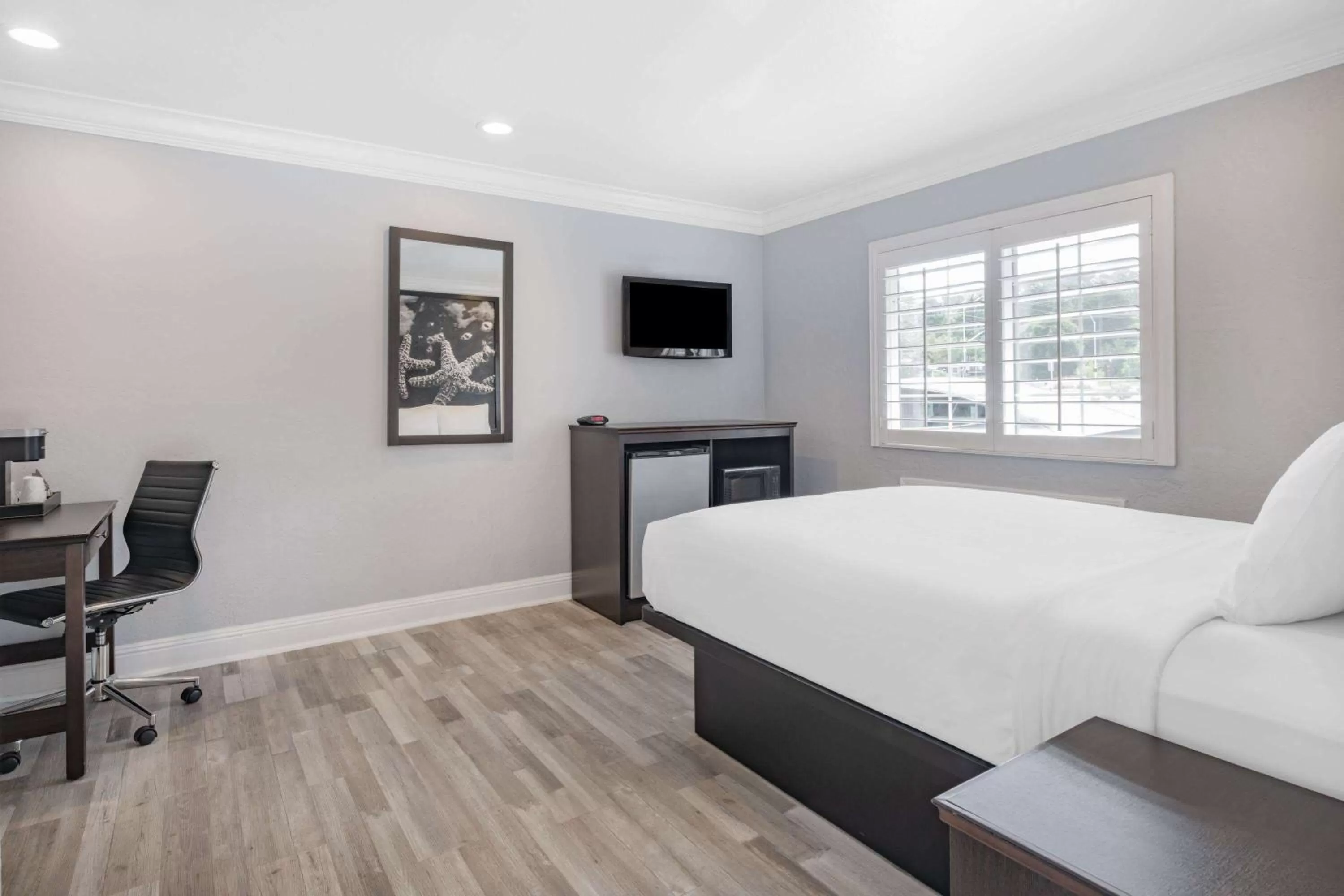 Photo of the whole room, Bed in Aura Inn Monterey