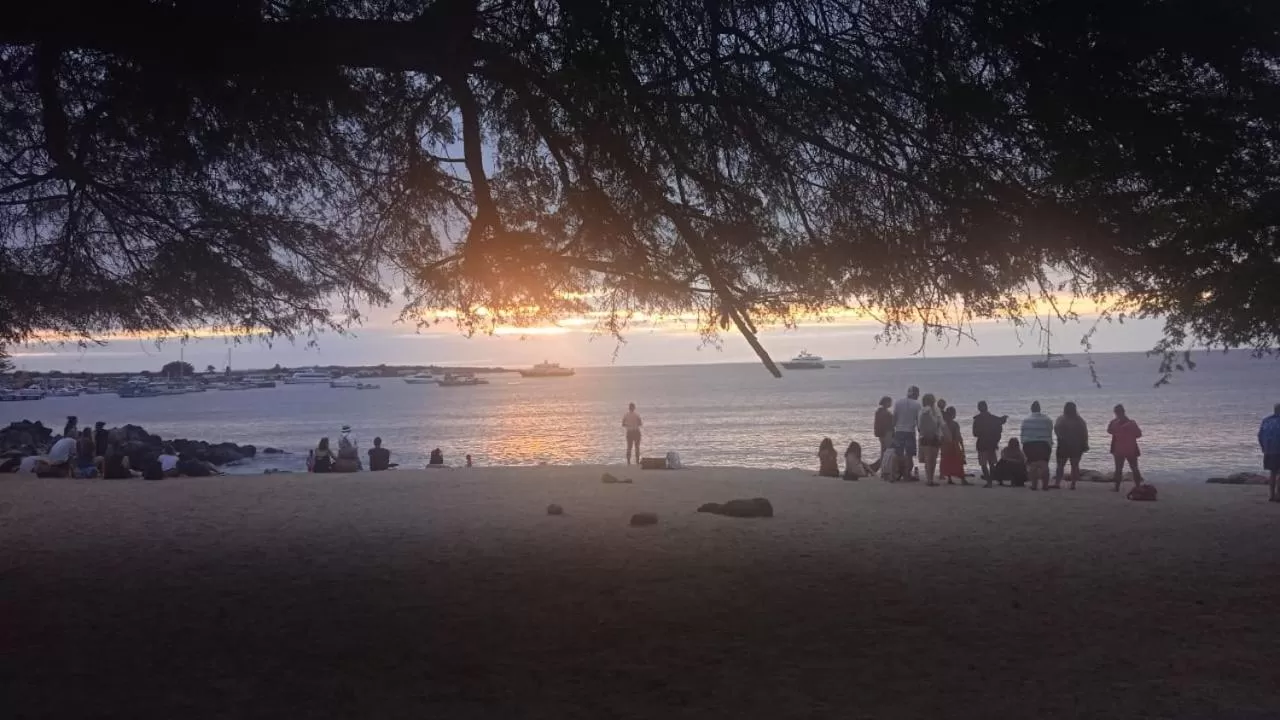 Hostal Cabañas Don Jorge