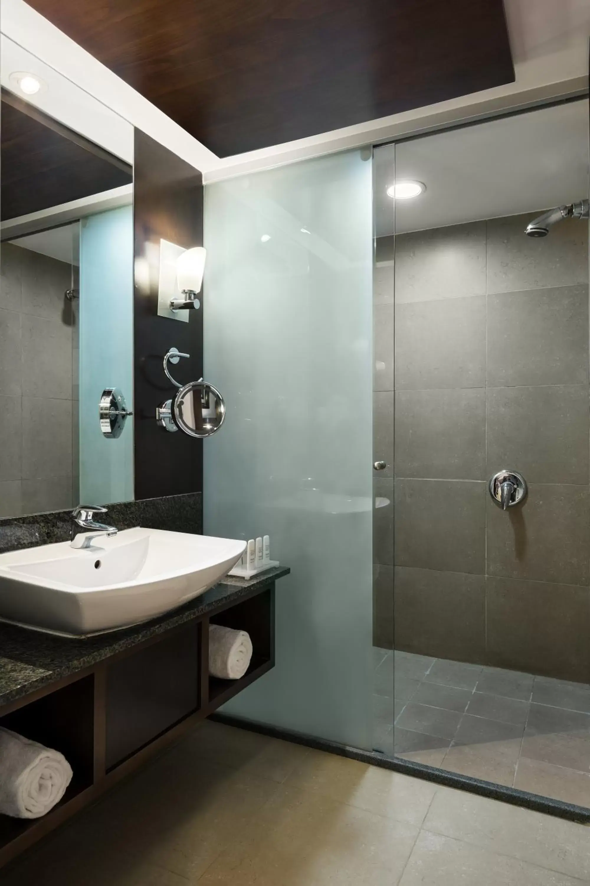 Shower, Bathroom in Radisson Blu Hotel, Riyadh