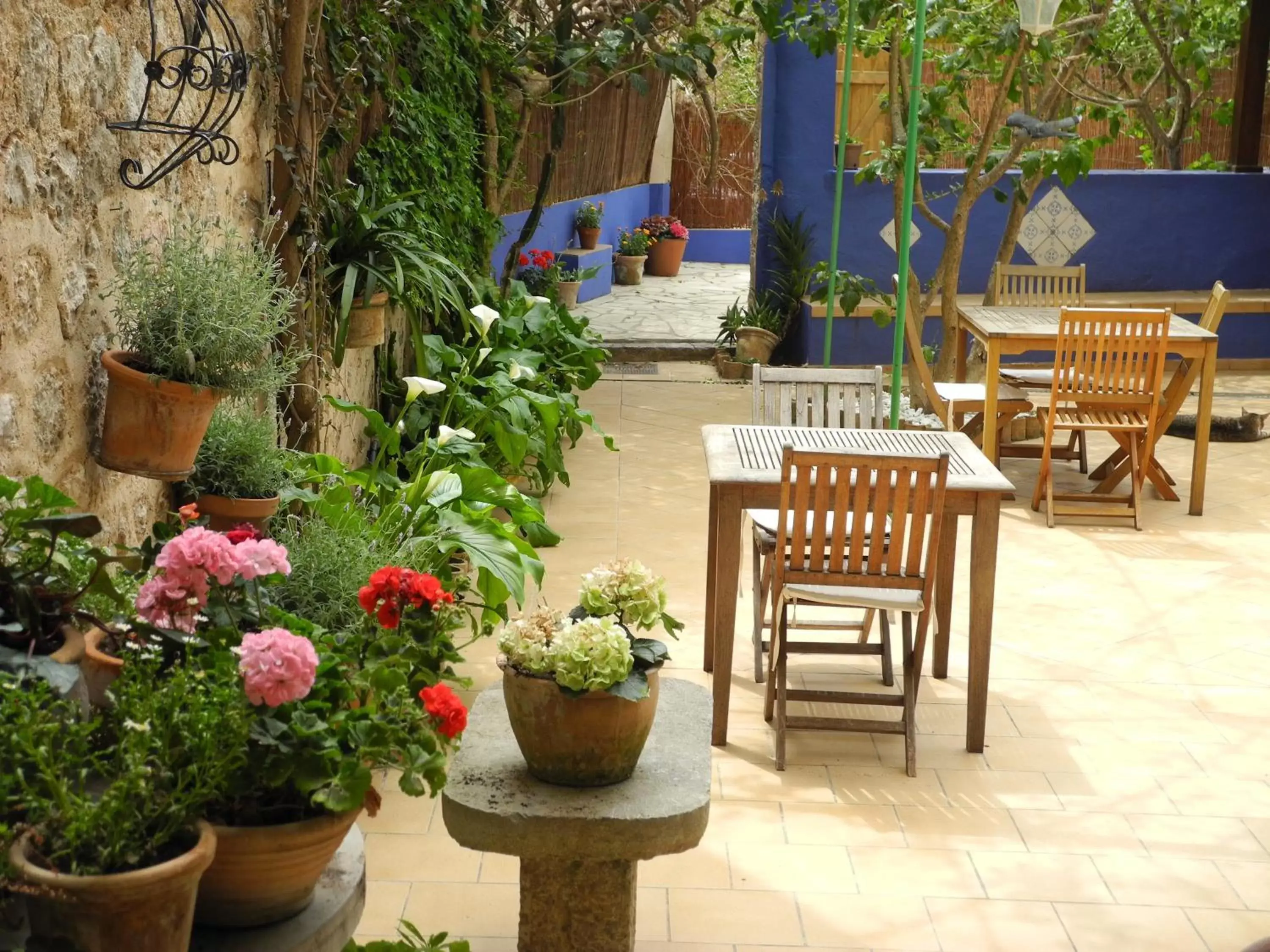 Patio in Casa Bougainvillea