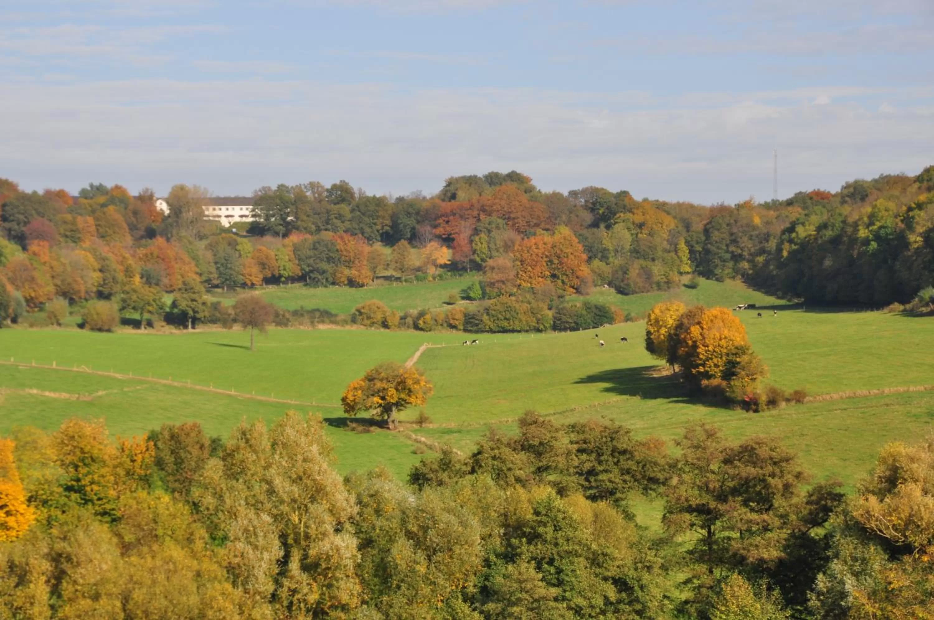 Natural landscape in Klein Zwitserland
