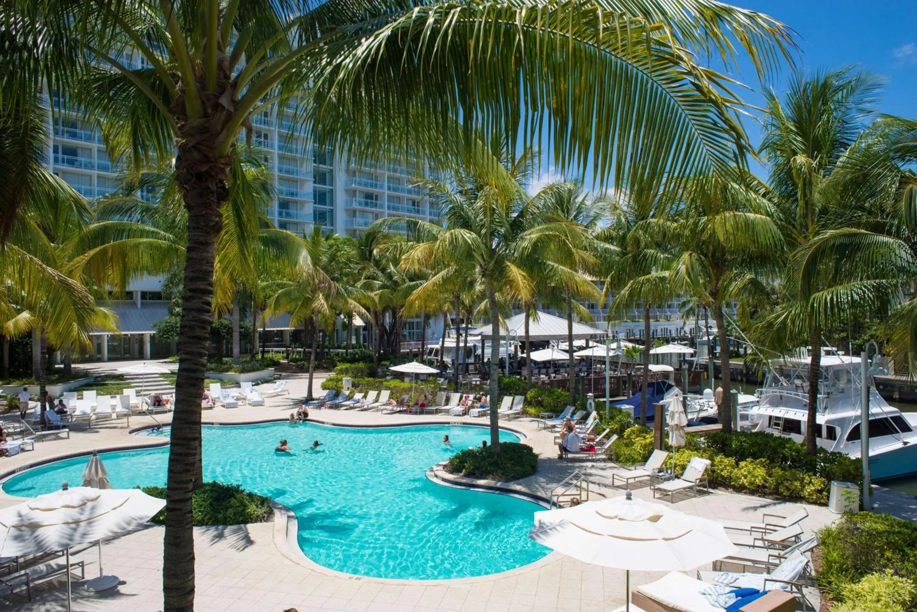 Pool View in Hilton Fort Lauderdale Marina