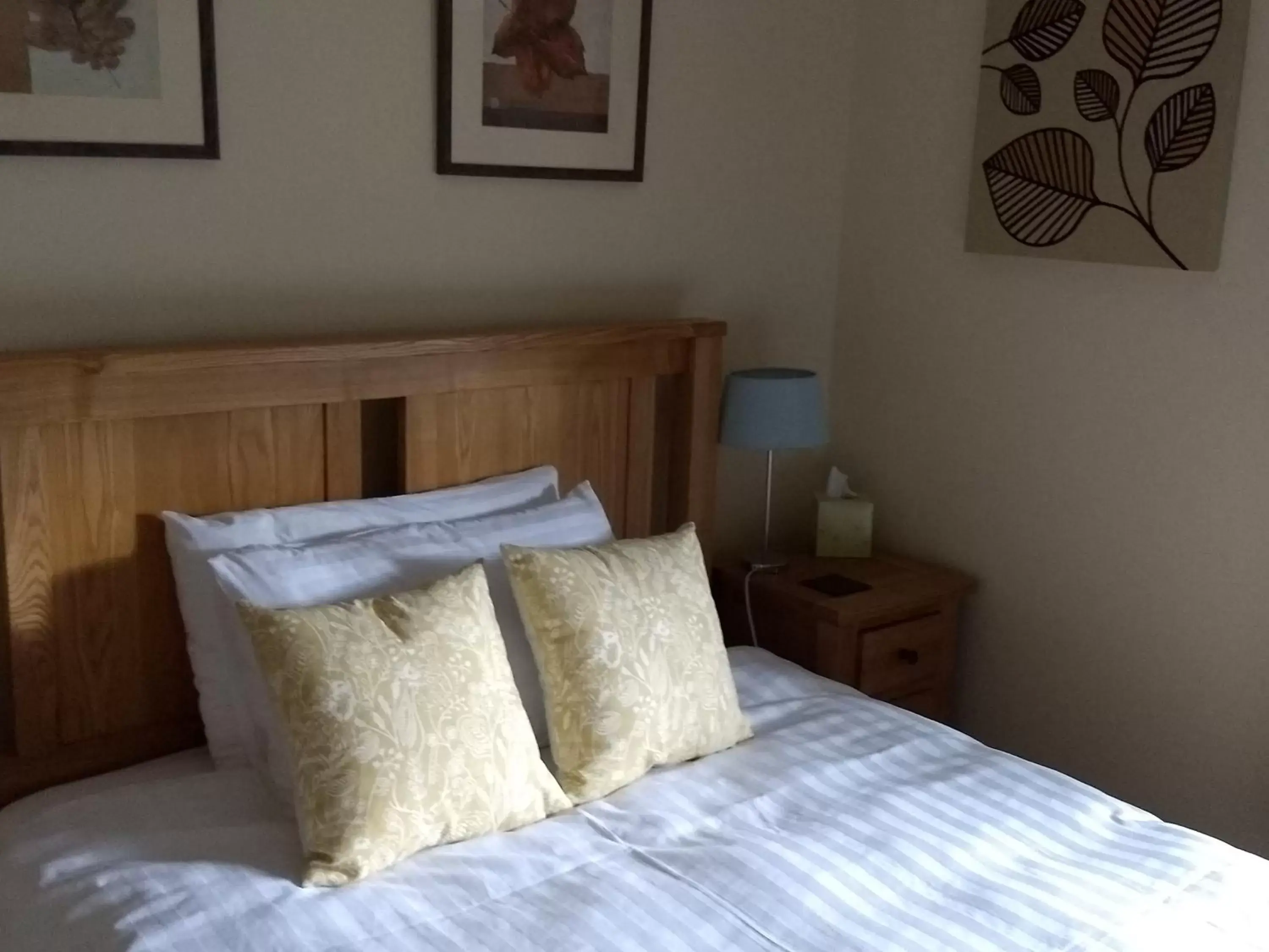 Double Room - single occupancy in The Old Rectory Bed and Breakfast Double Room - single occupancy in The Old Rectory Bed and Breakfast
