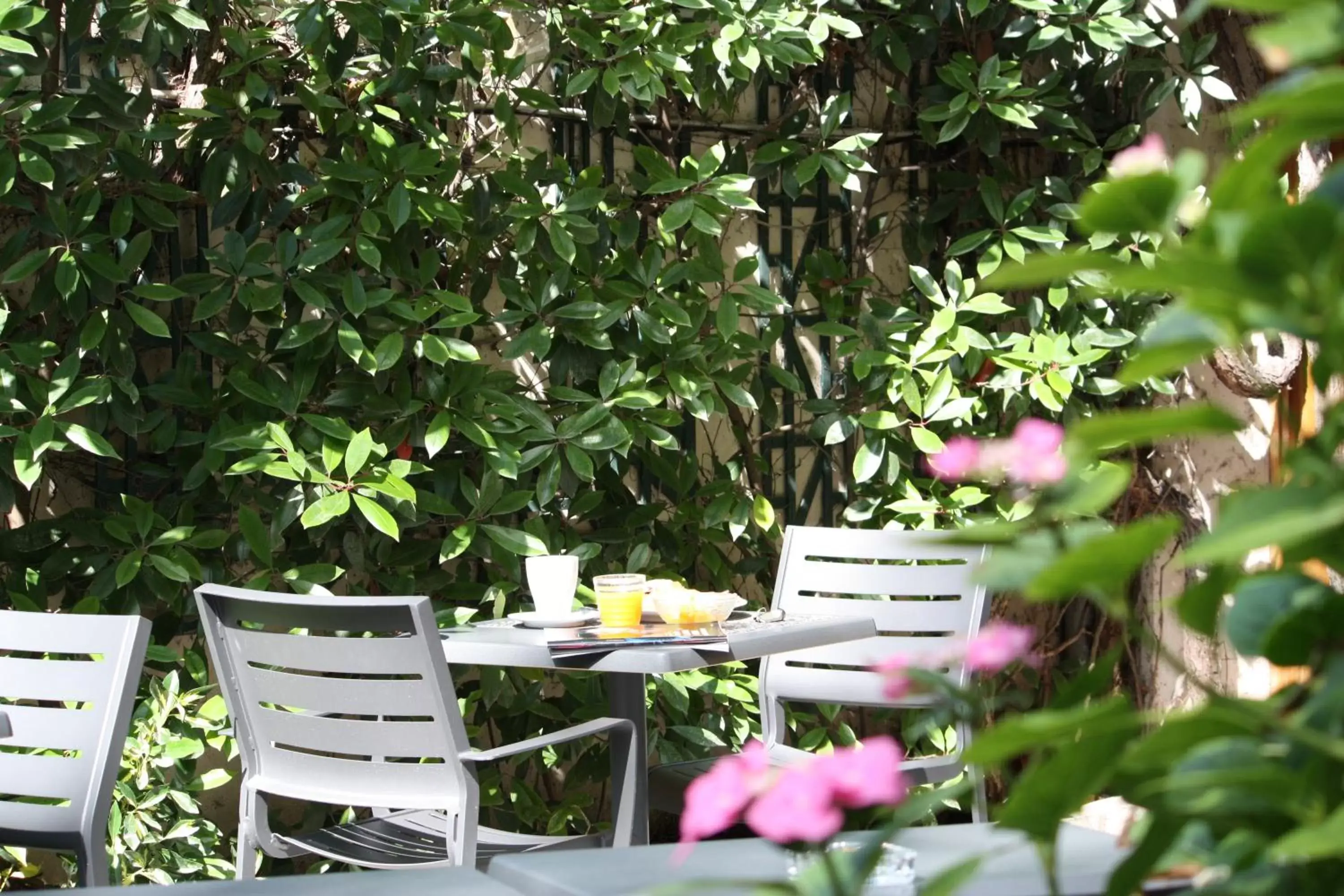 Patio in Hotel Dauphin