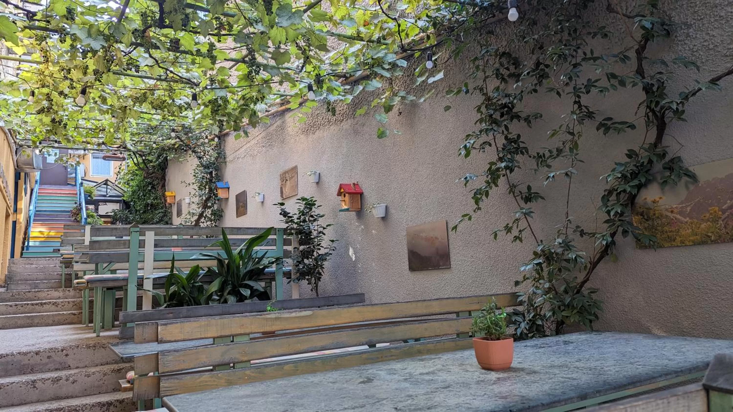 Restaurant/places to eat in Hotel Kartli