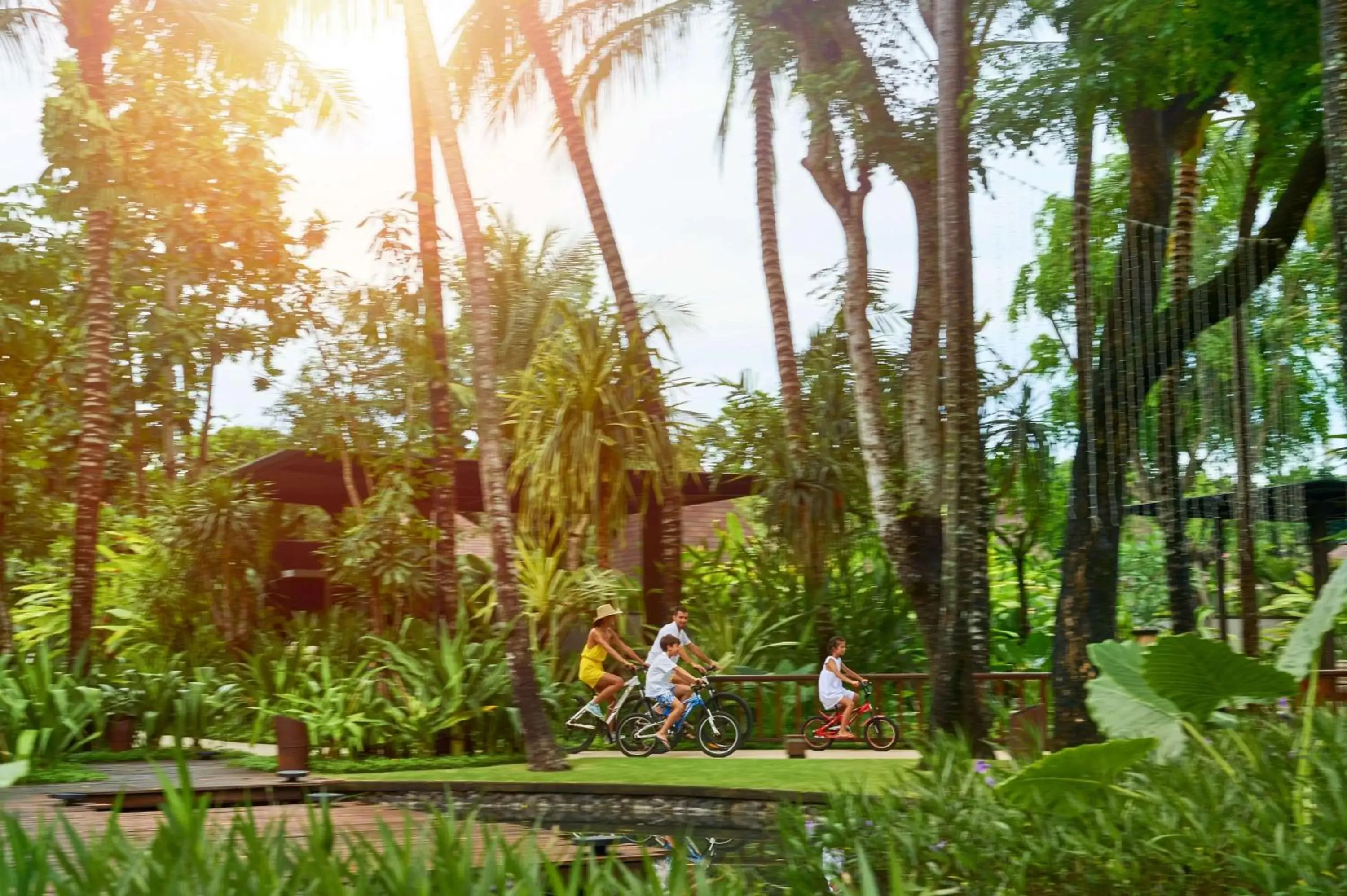 Garden view, Garden in Conrad Bali