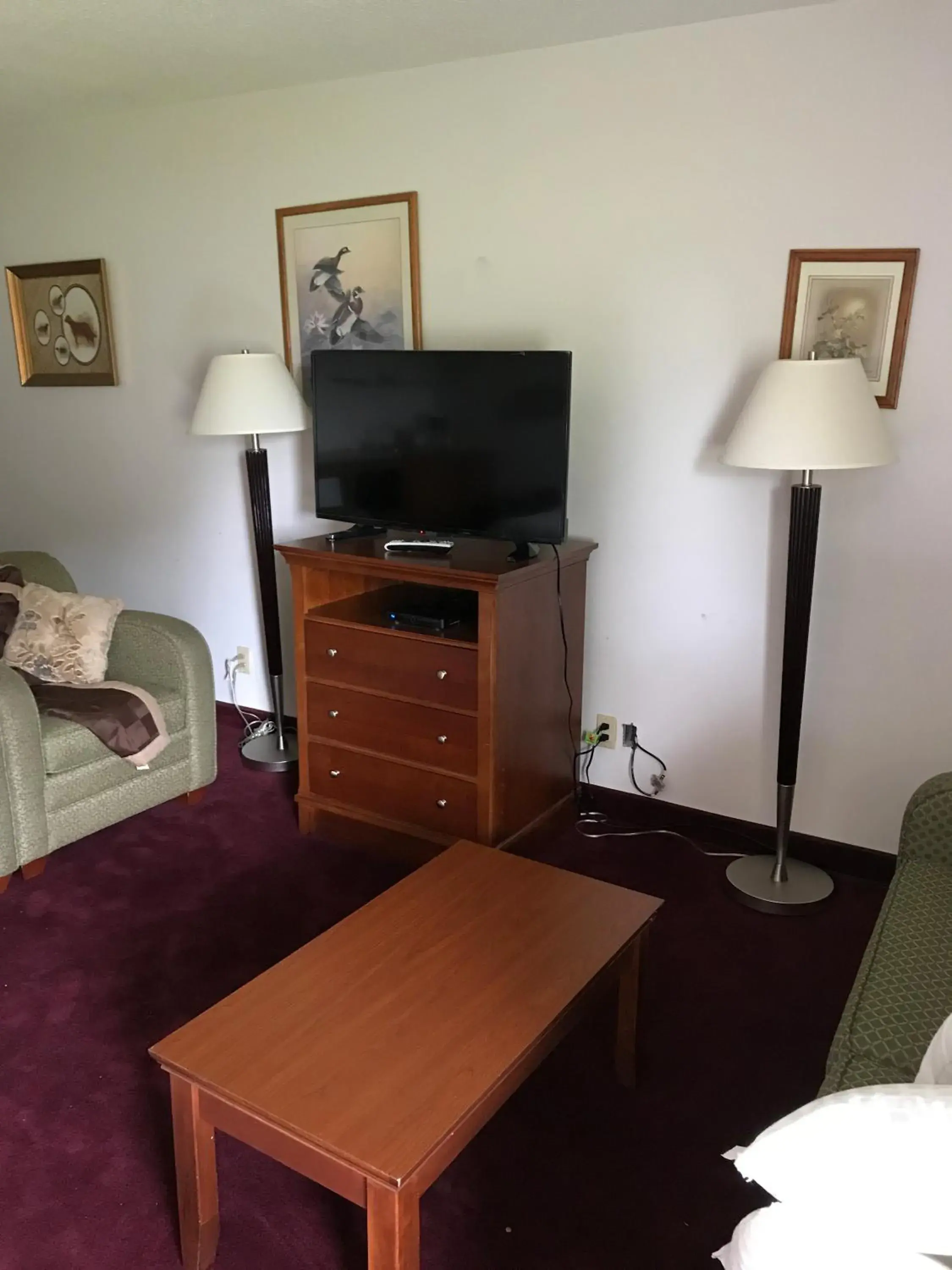 TV/Entertainment Center in Lake Tree Inn & Suites