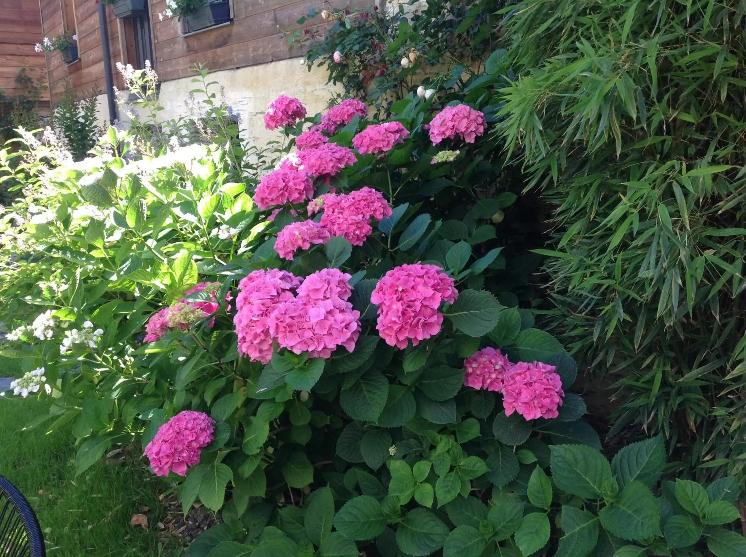 Garden in Madeleine et Cie