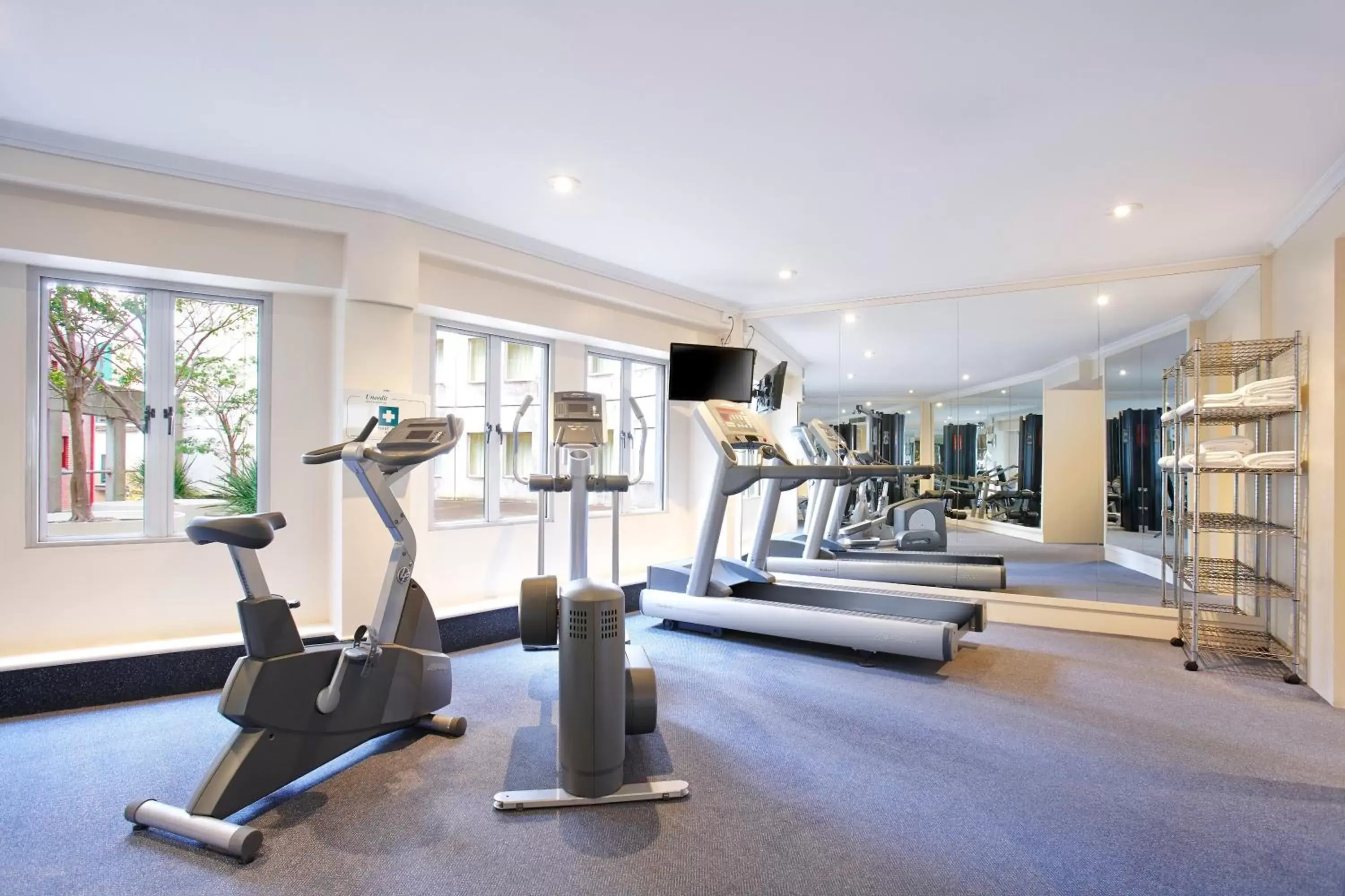 Spa and wellness centre/facilities, Fitness Center/Facilities in Holiday Inn Sydney Potts Point