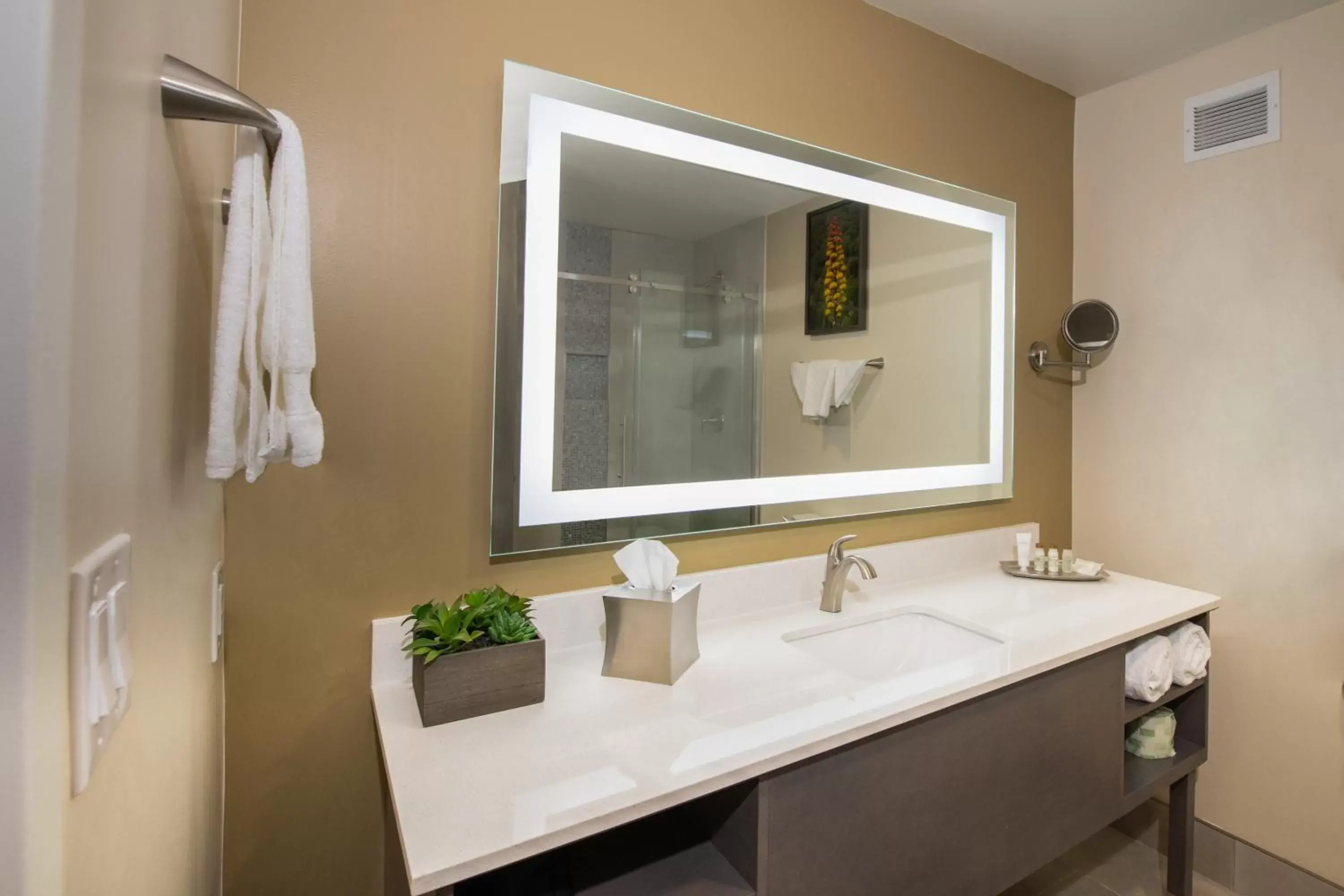 Bathroom in Apache Gold Resort Hotel & Casino