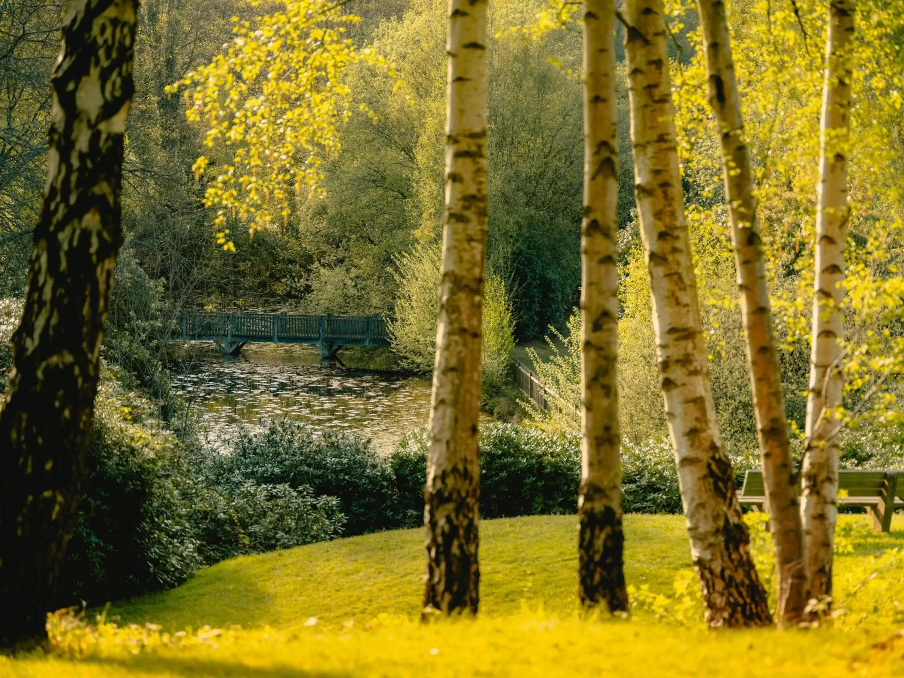 Garden in The Spa Hotel