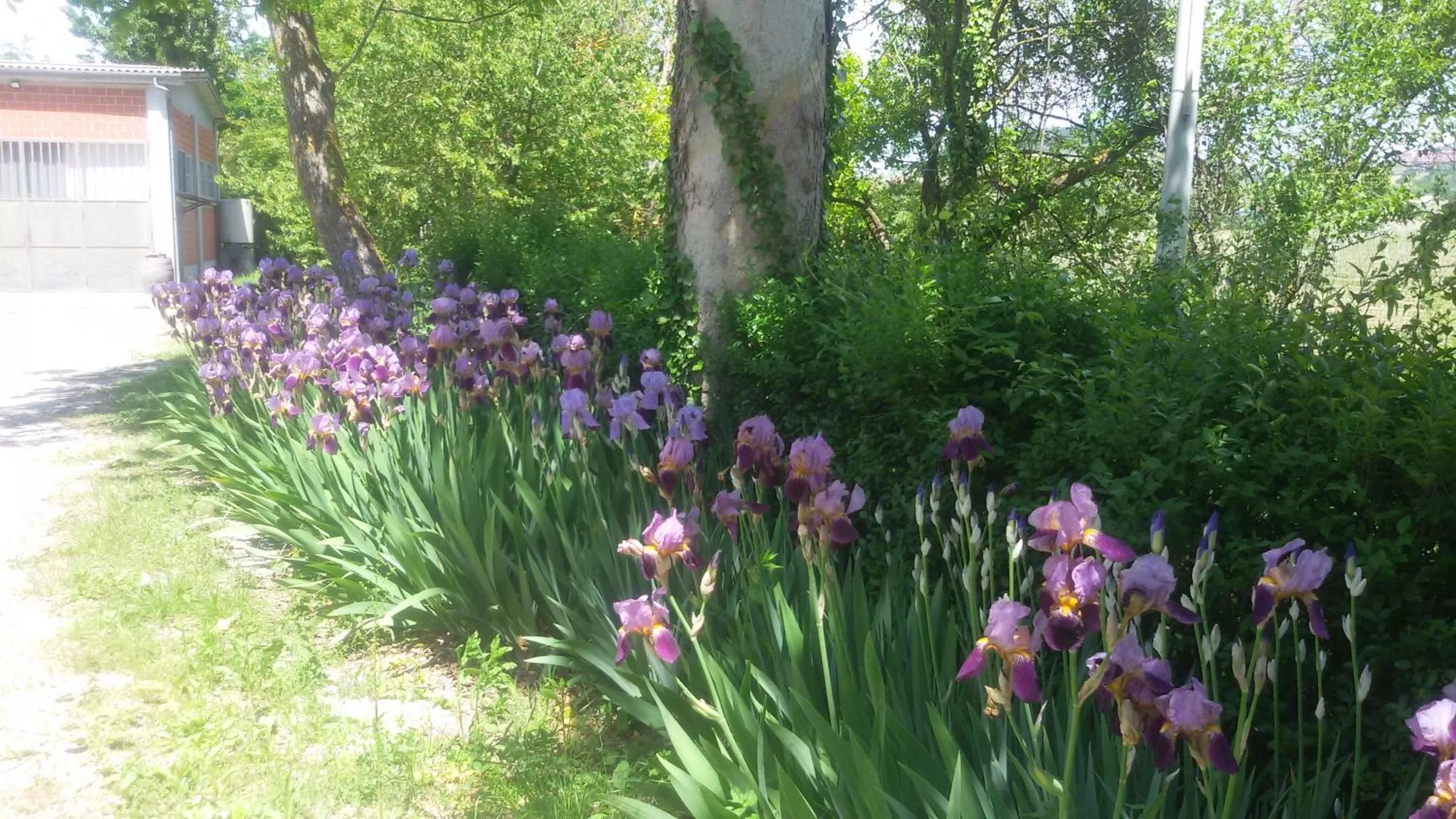 Garden in Cascina Torello
