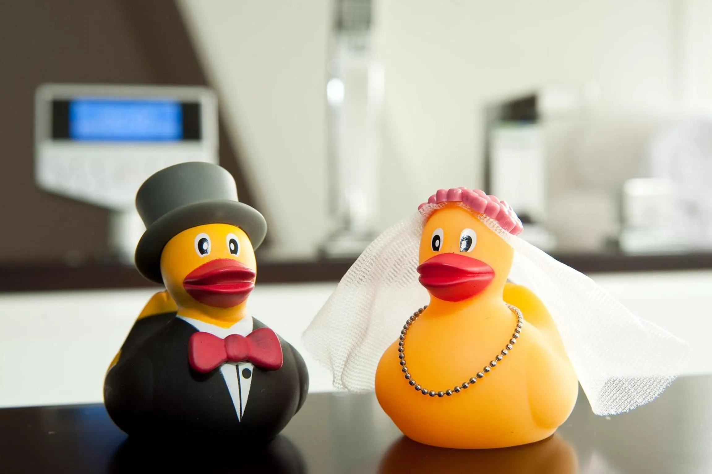 Other in Grenshotel de Jonckheer