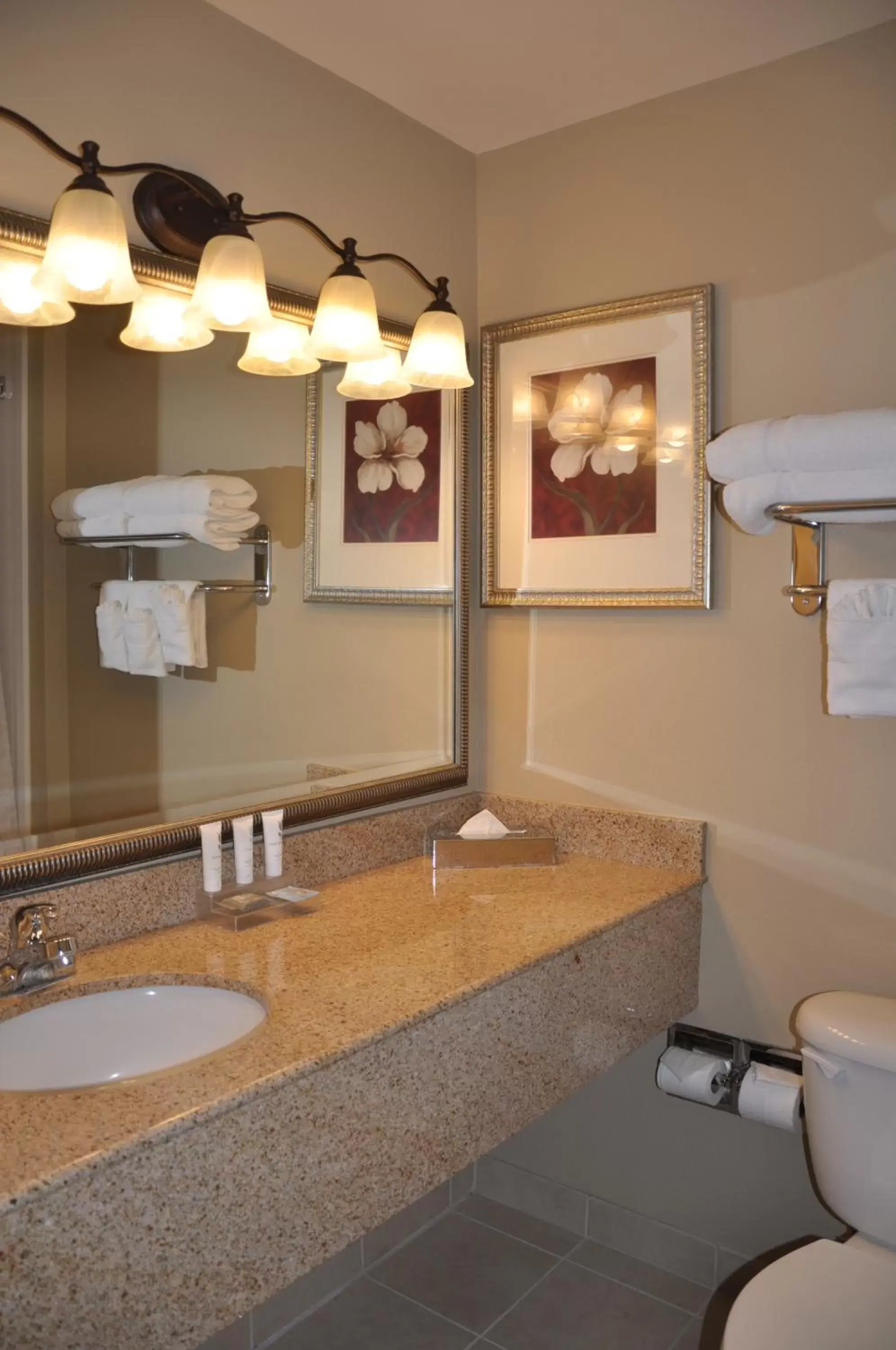 Bathroom in Country Inn & Suites by Radisson, Covington, LA