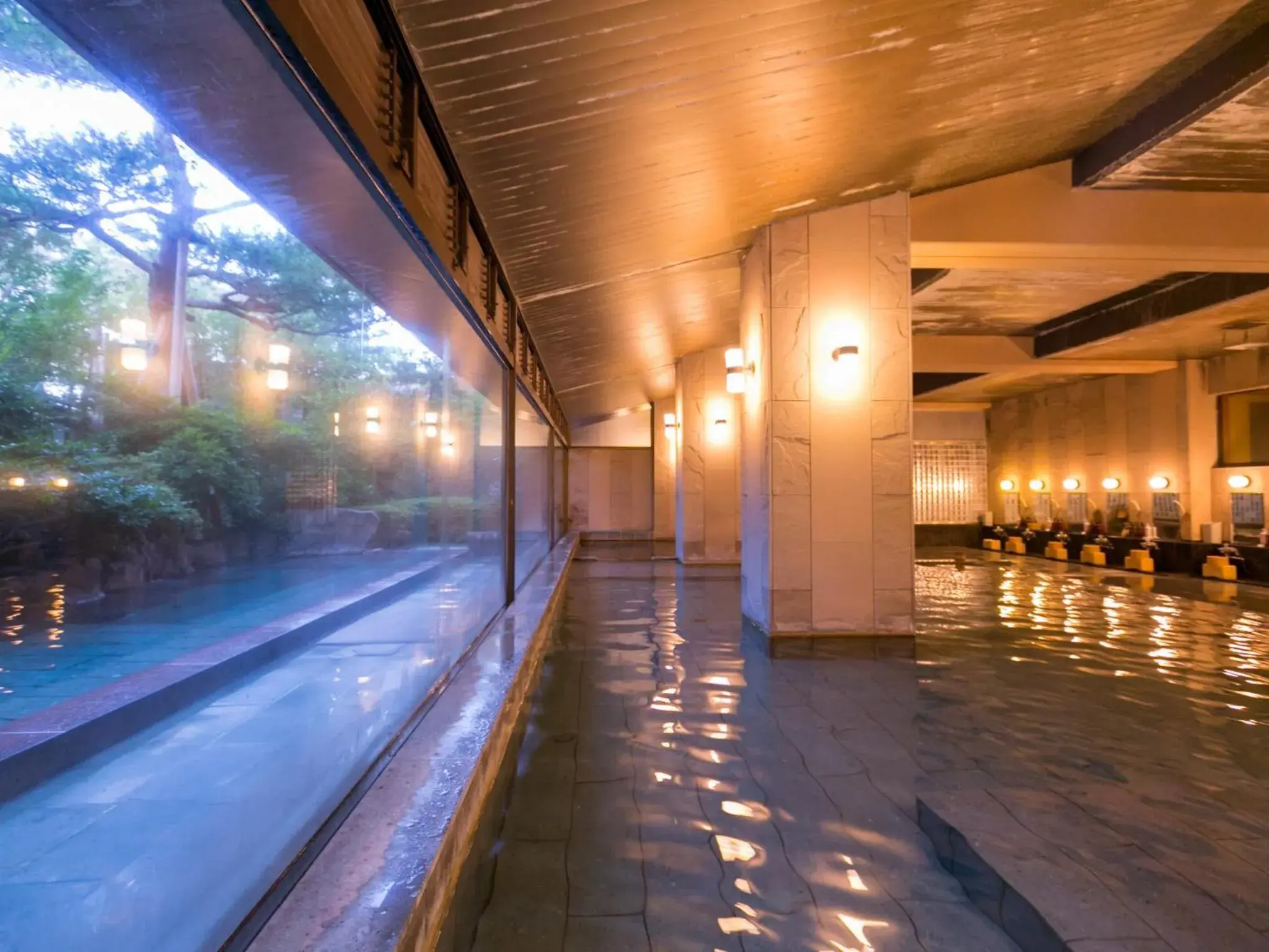 Hot Spring Bath, Swimming Pool in Hoshi