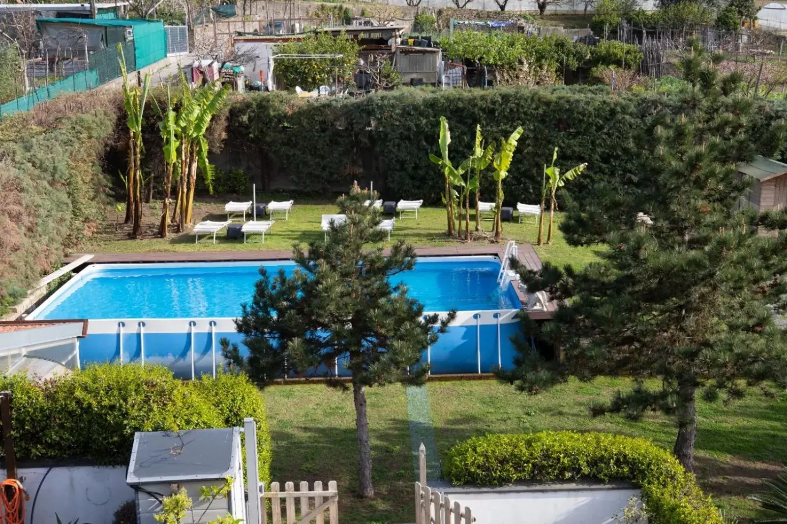 Pool View in Villa Bianca