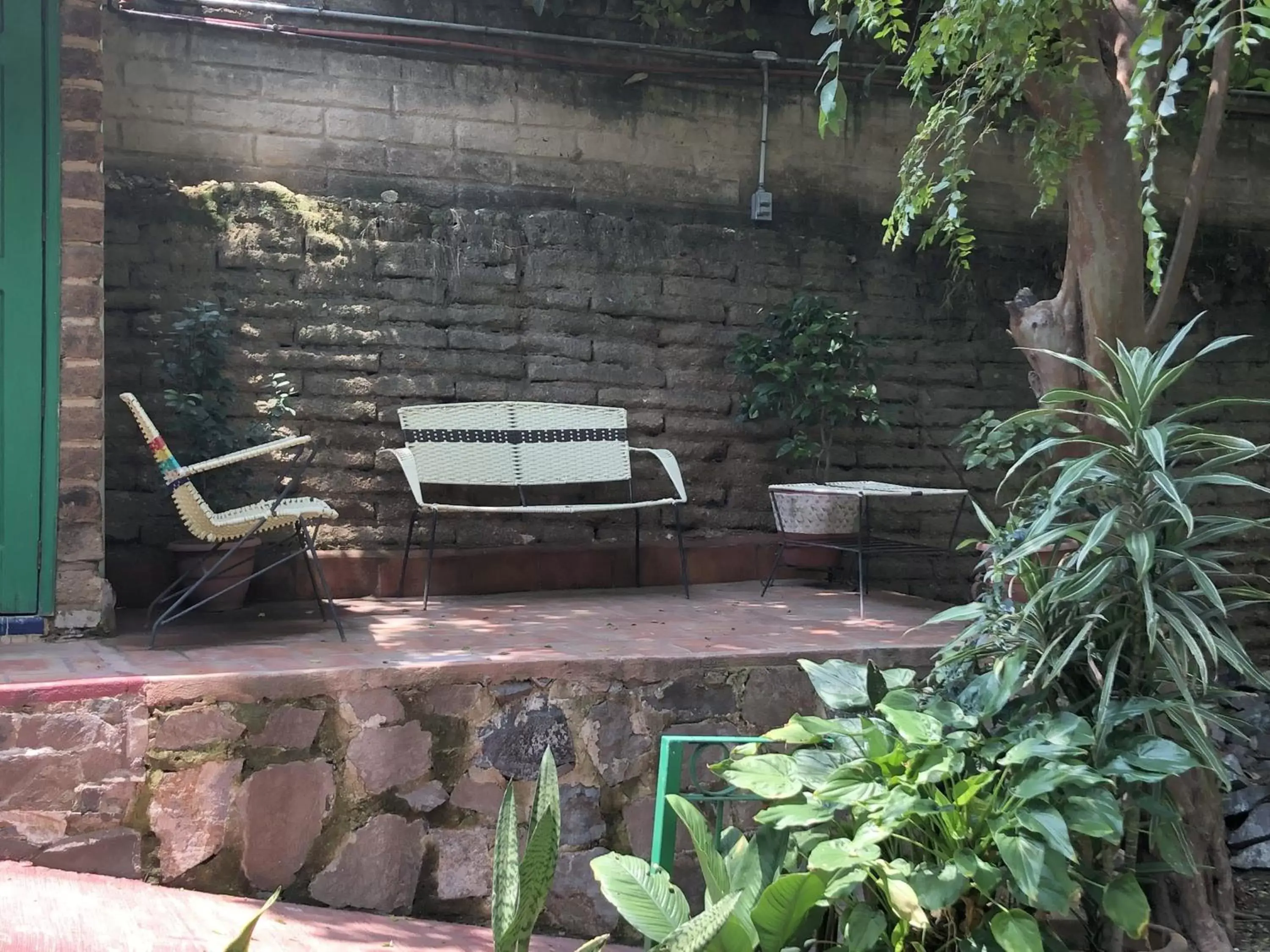 Garden in Casa del Retoño