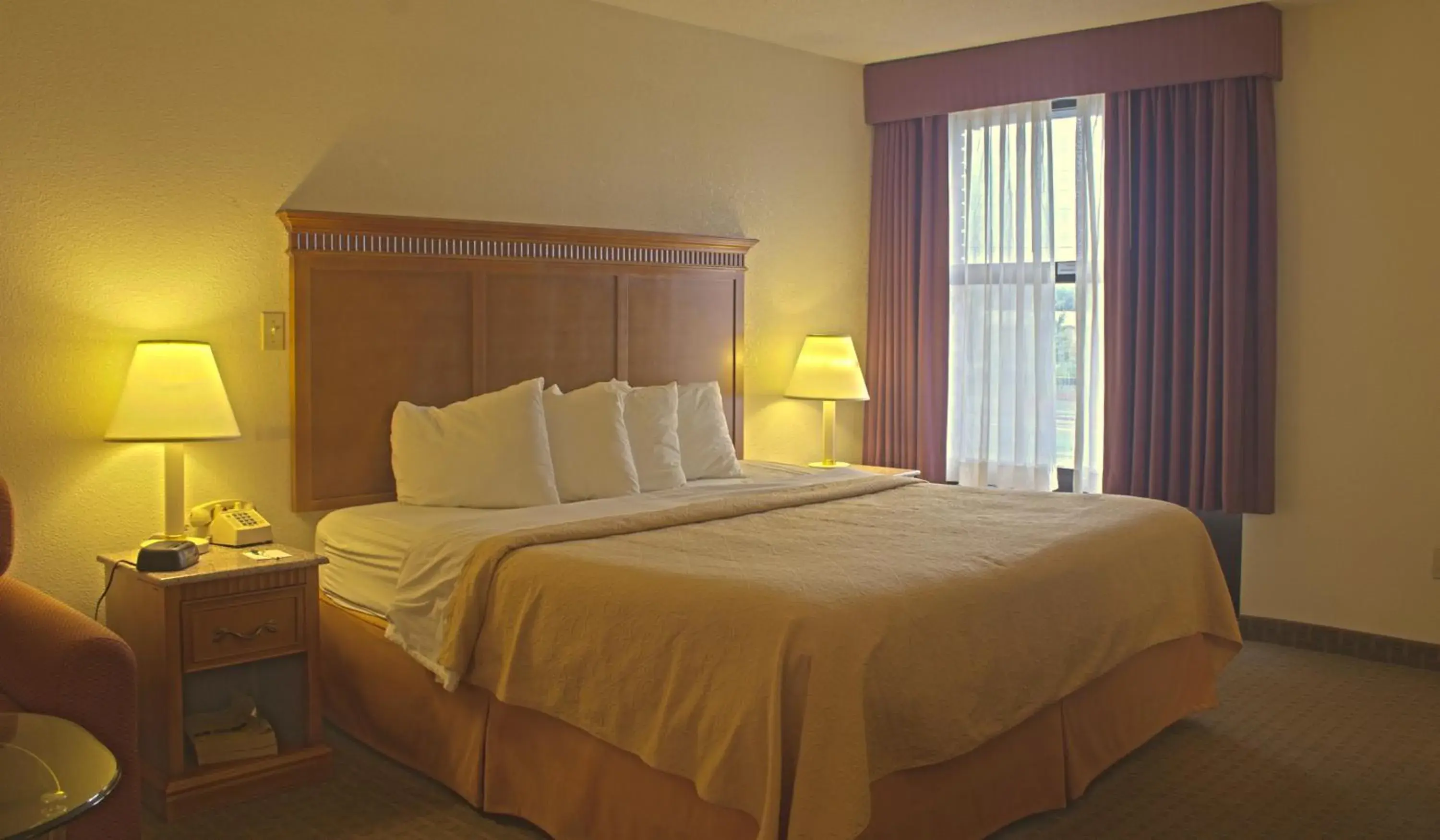 King Room - Non-Smoking in Quality Inn and Suites Indianapolis