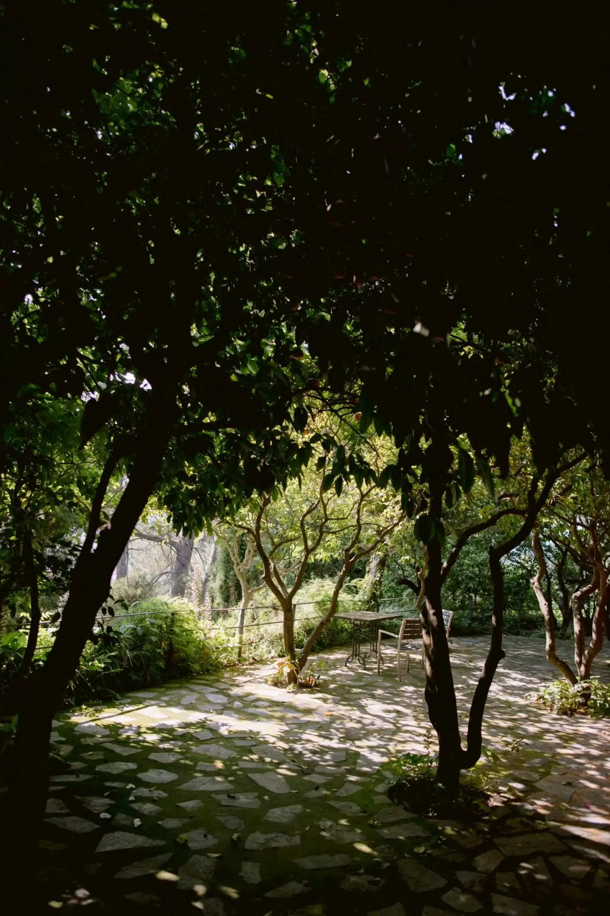 Garden in Mont-Sant