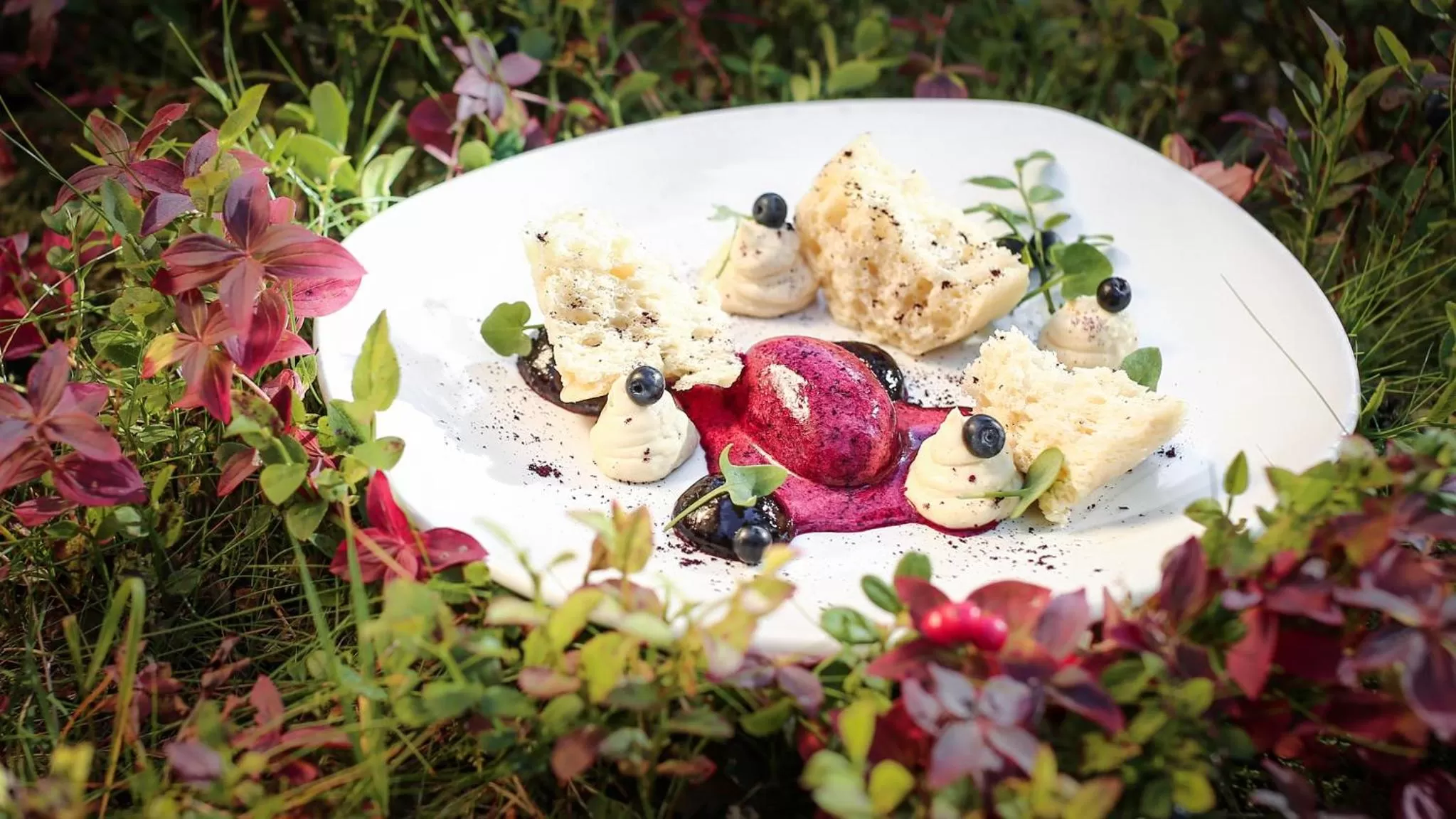 Restaurant/places to eat in Wilderness Hotel Juutua