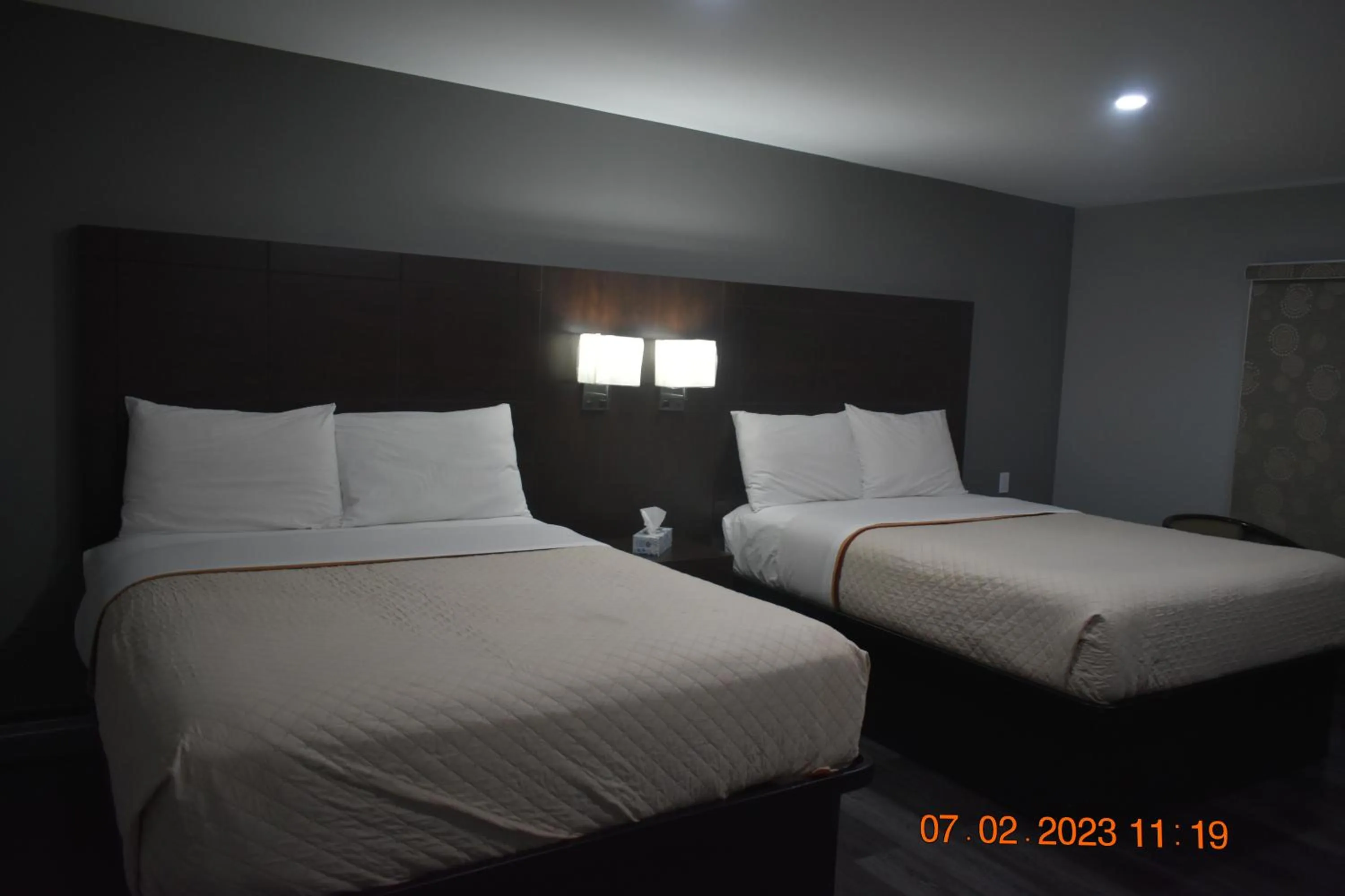 Bedroom in Time Travellers Motel