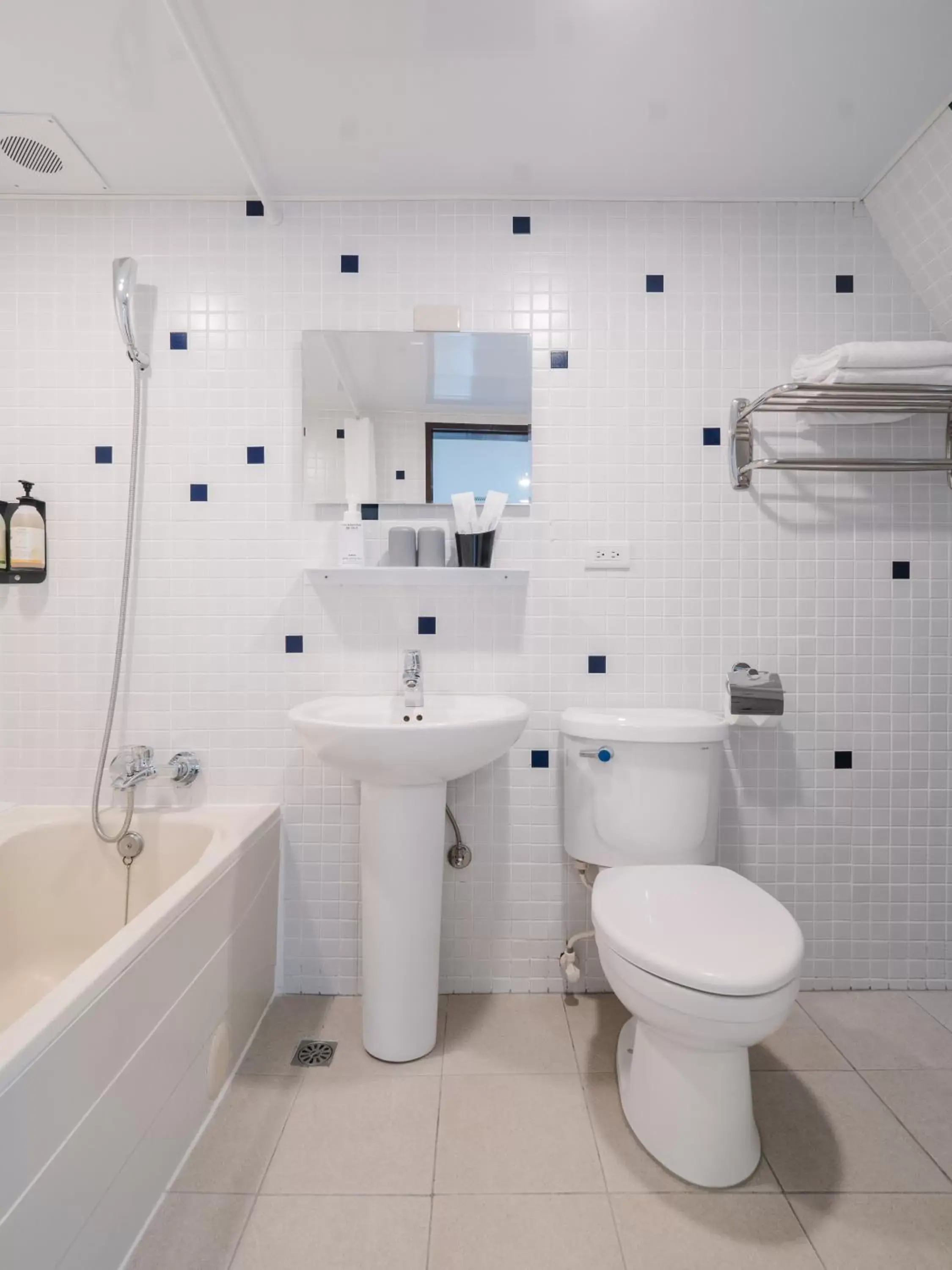 Toilet, Bathroom in Hotel attic