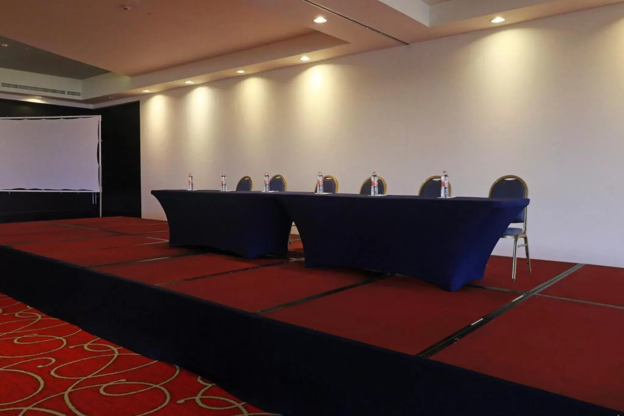 Meeting/conference room in Holiday Inn Tuxpan - Convention Center, an IHG Hotel