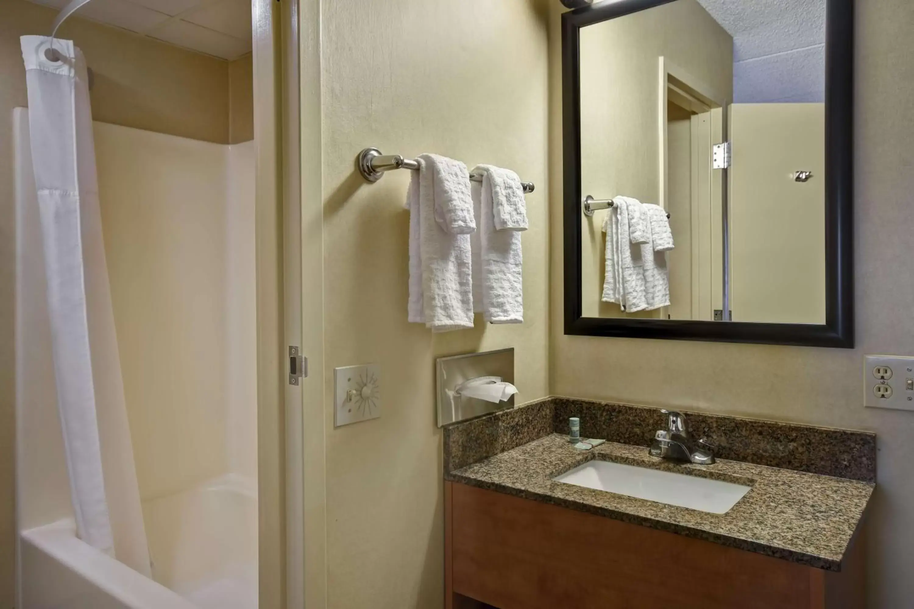 Bathroom in Best Western Rochester Marketplace Inn