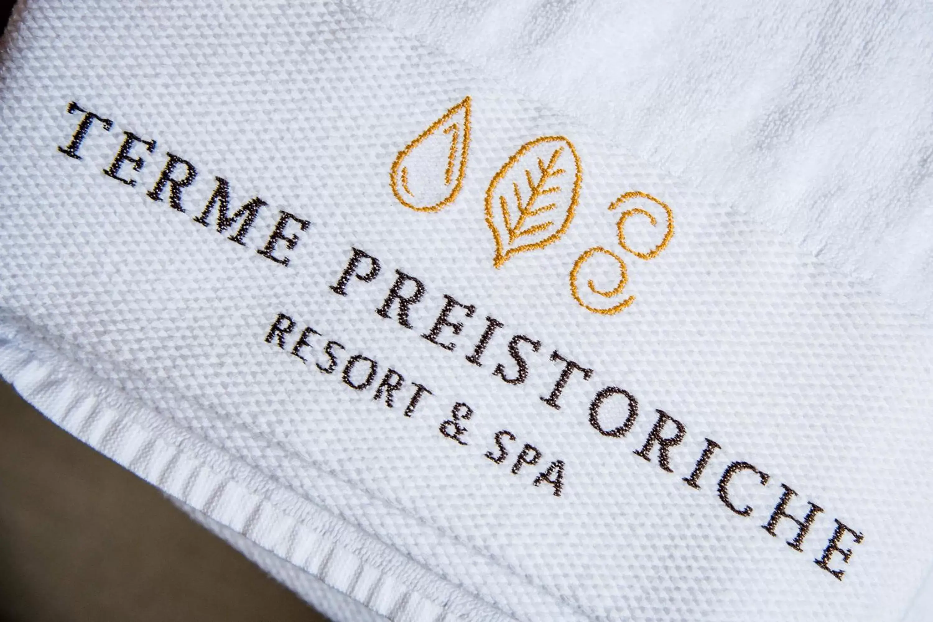 Decorative detail, Property Logo/Sign in Terme Preistoriche Resort & Spa