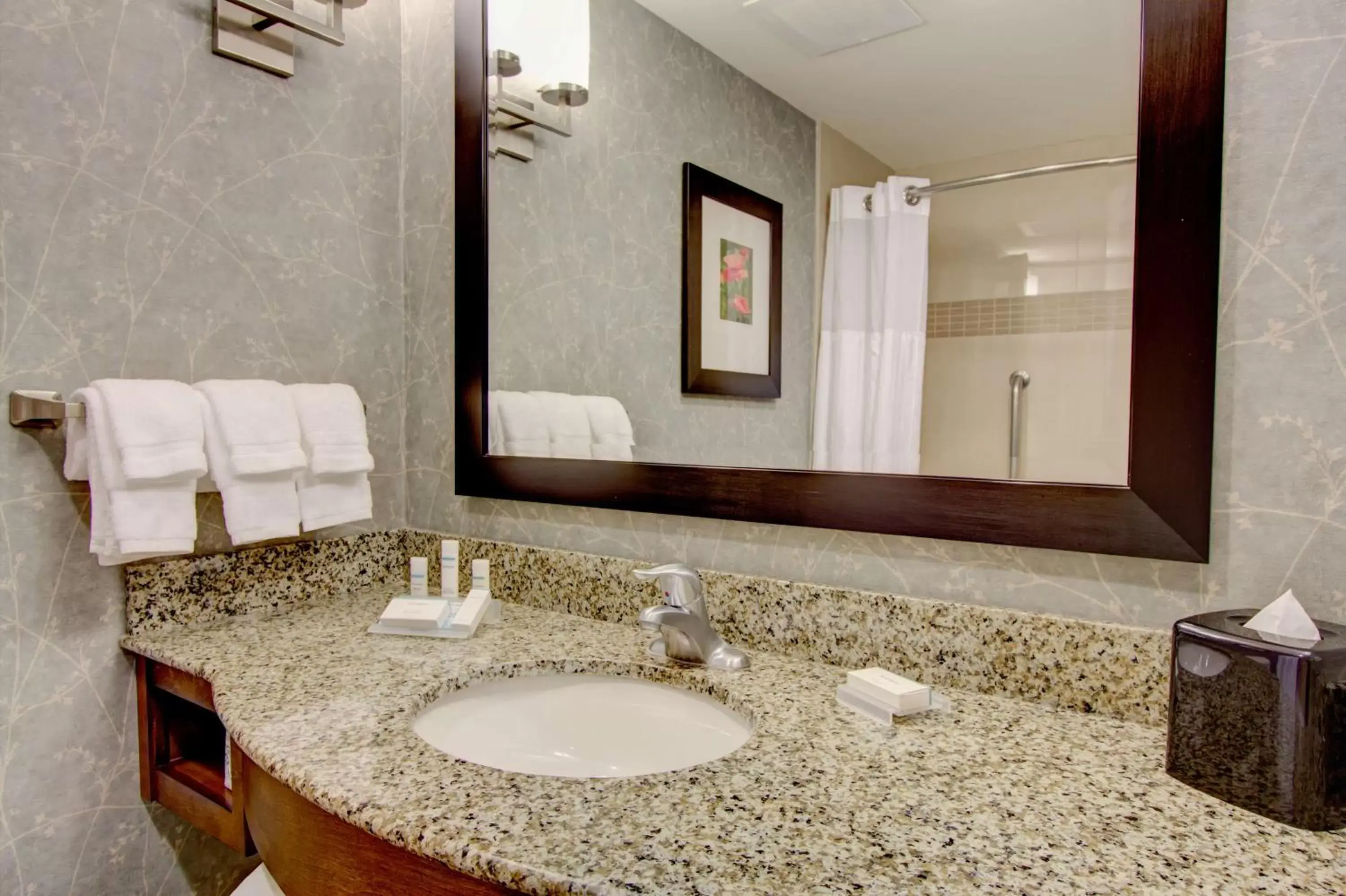 Bathroom in Hilton Garden Inn Charleston / Mt. Pleasant
