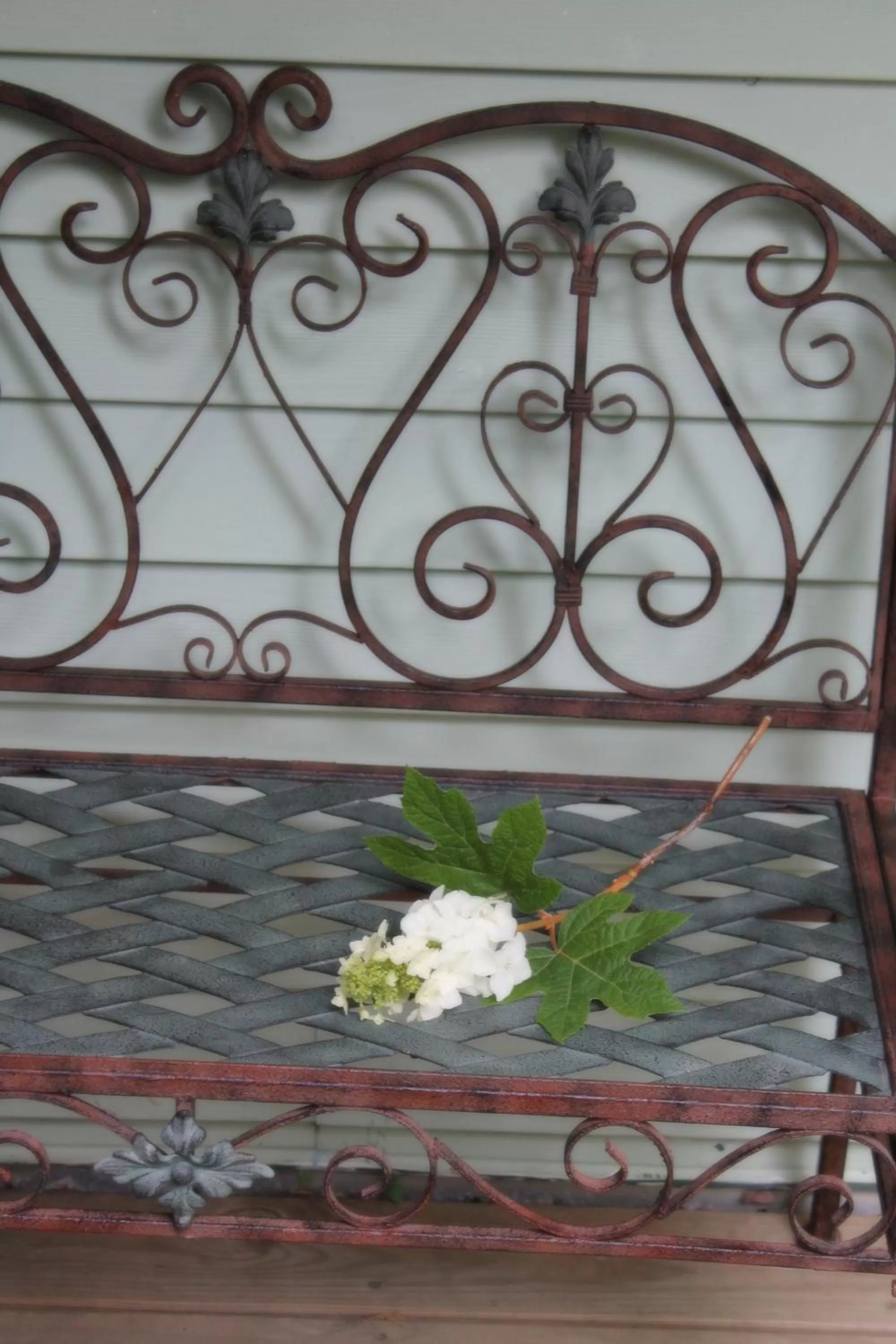 Hidden Springs Bed and Breakfast