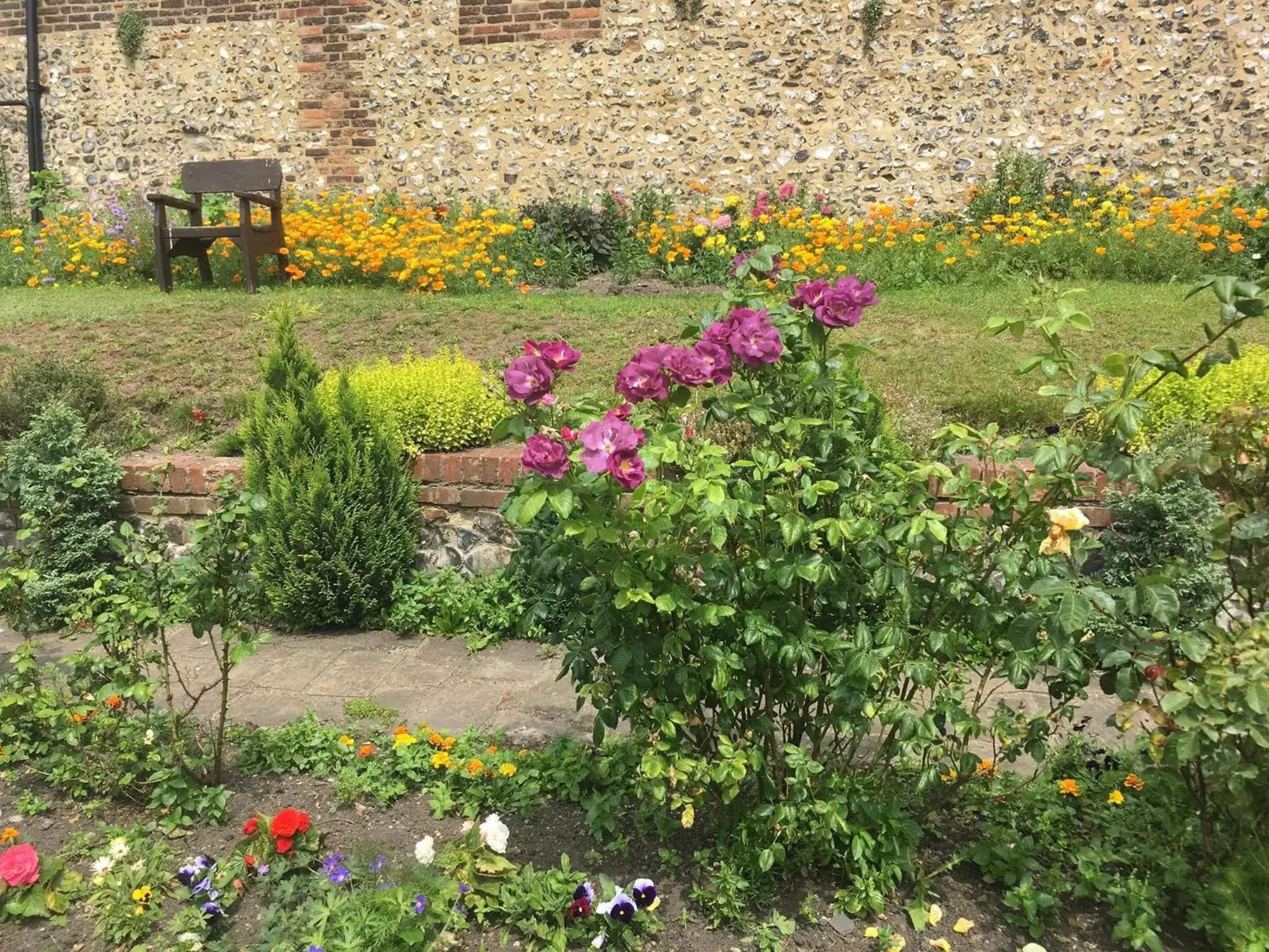 Garden in Castle House Hotel